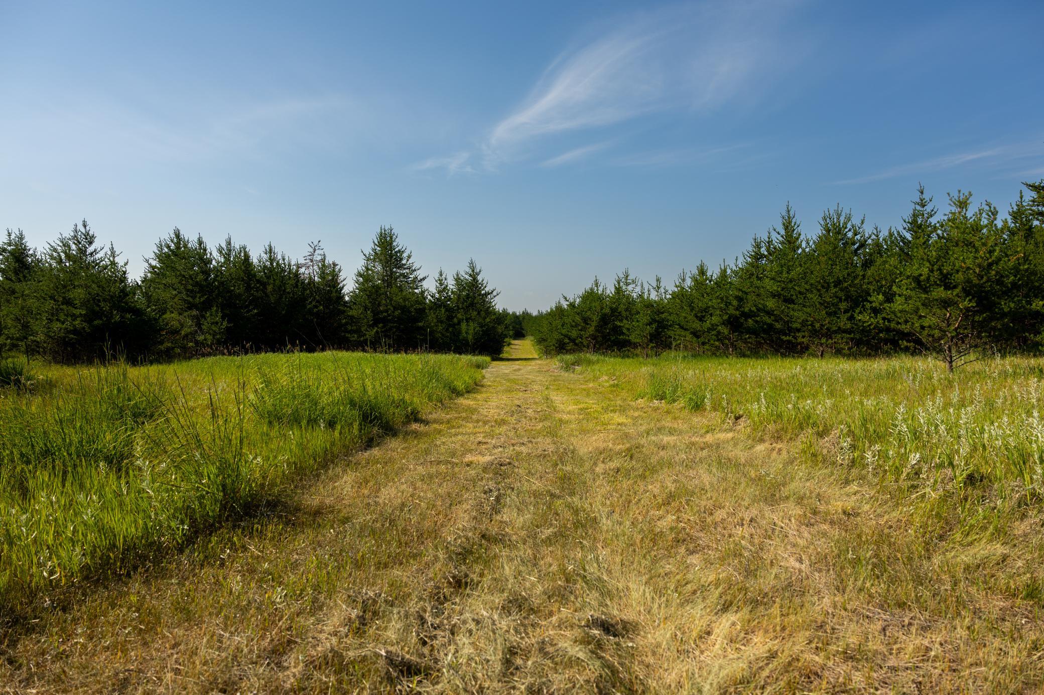main property photo 81