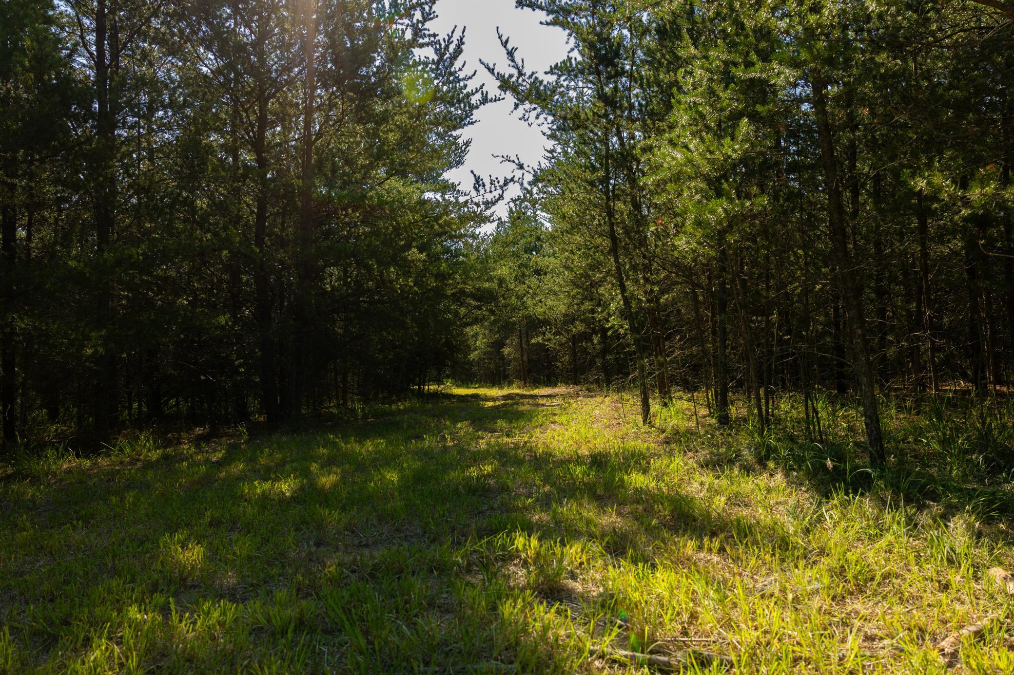 main property photo 82