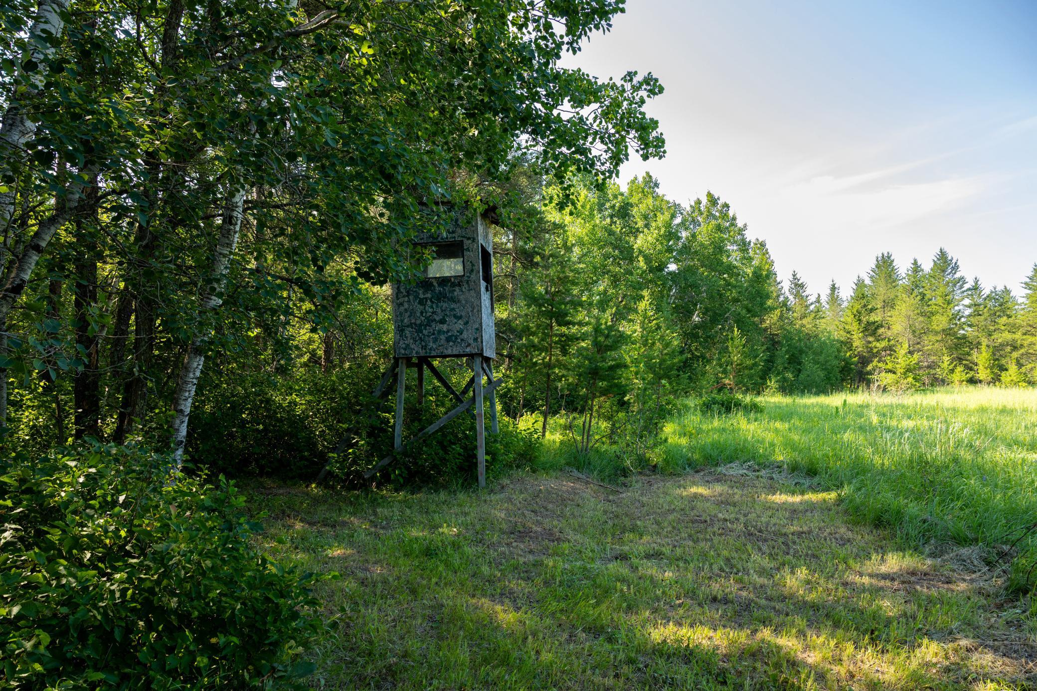 main property photo 84