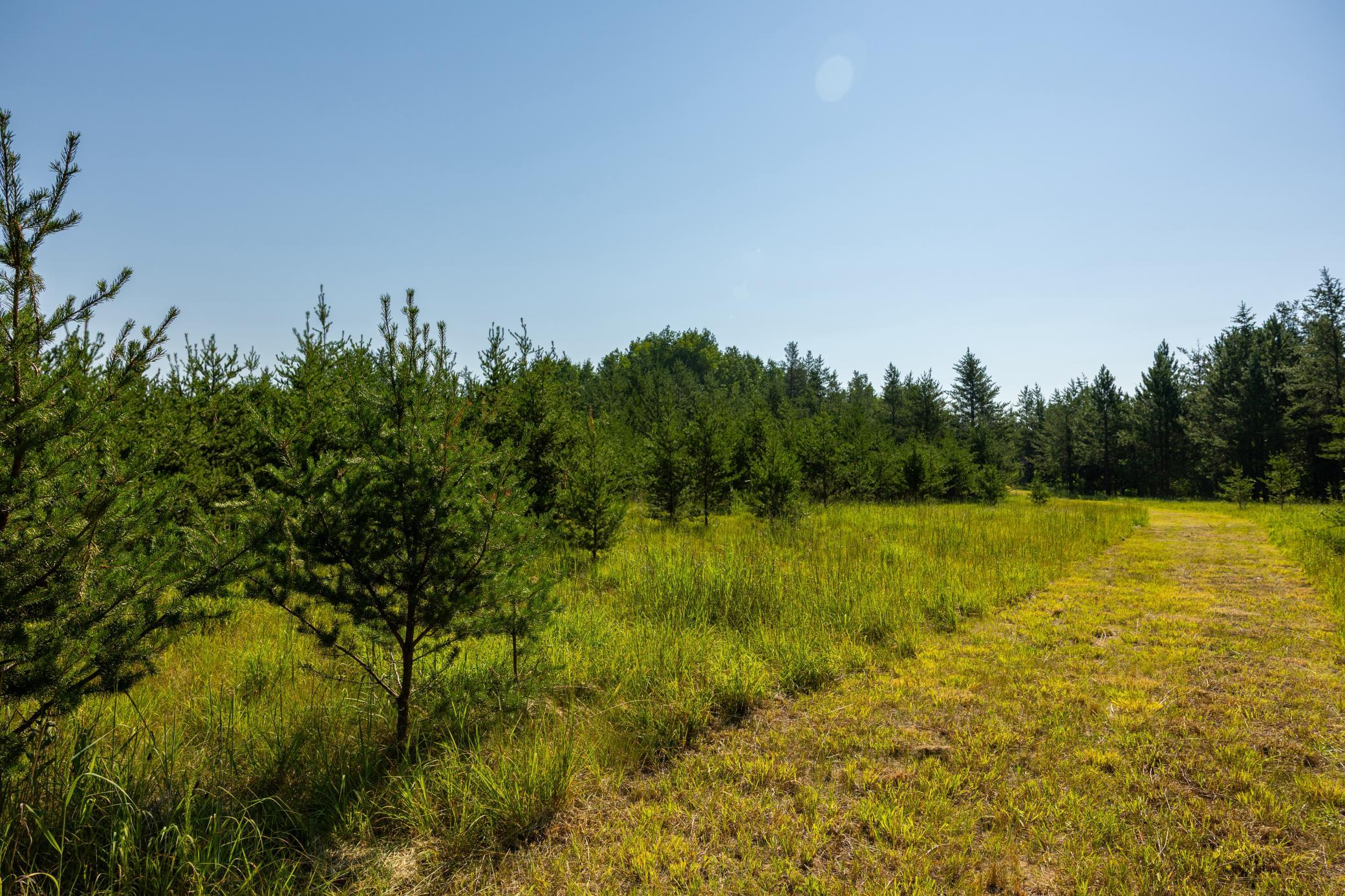 main property photo 92