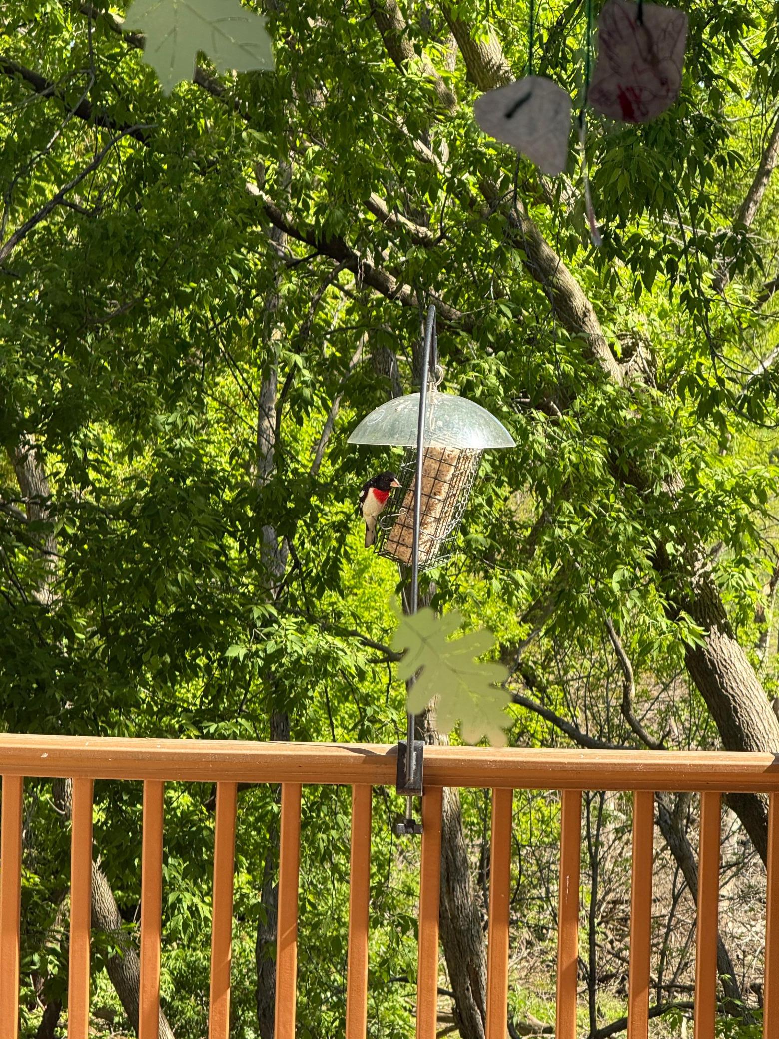 main property photo 55