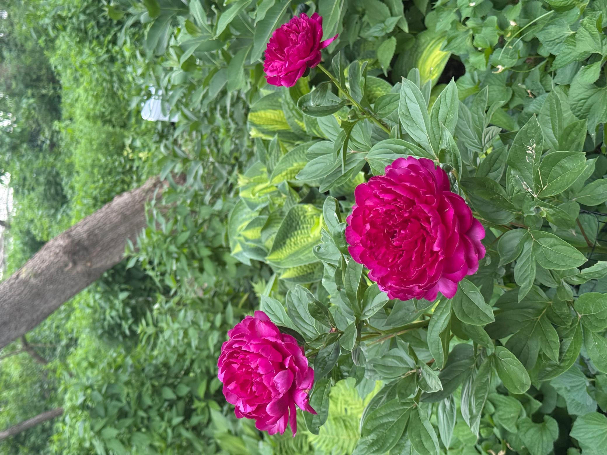 main property photo 60