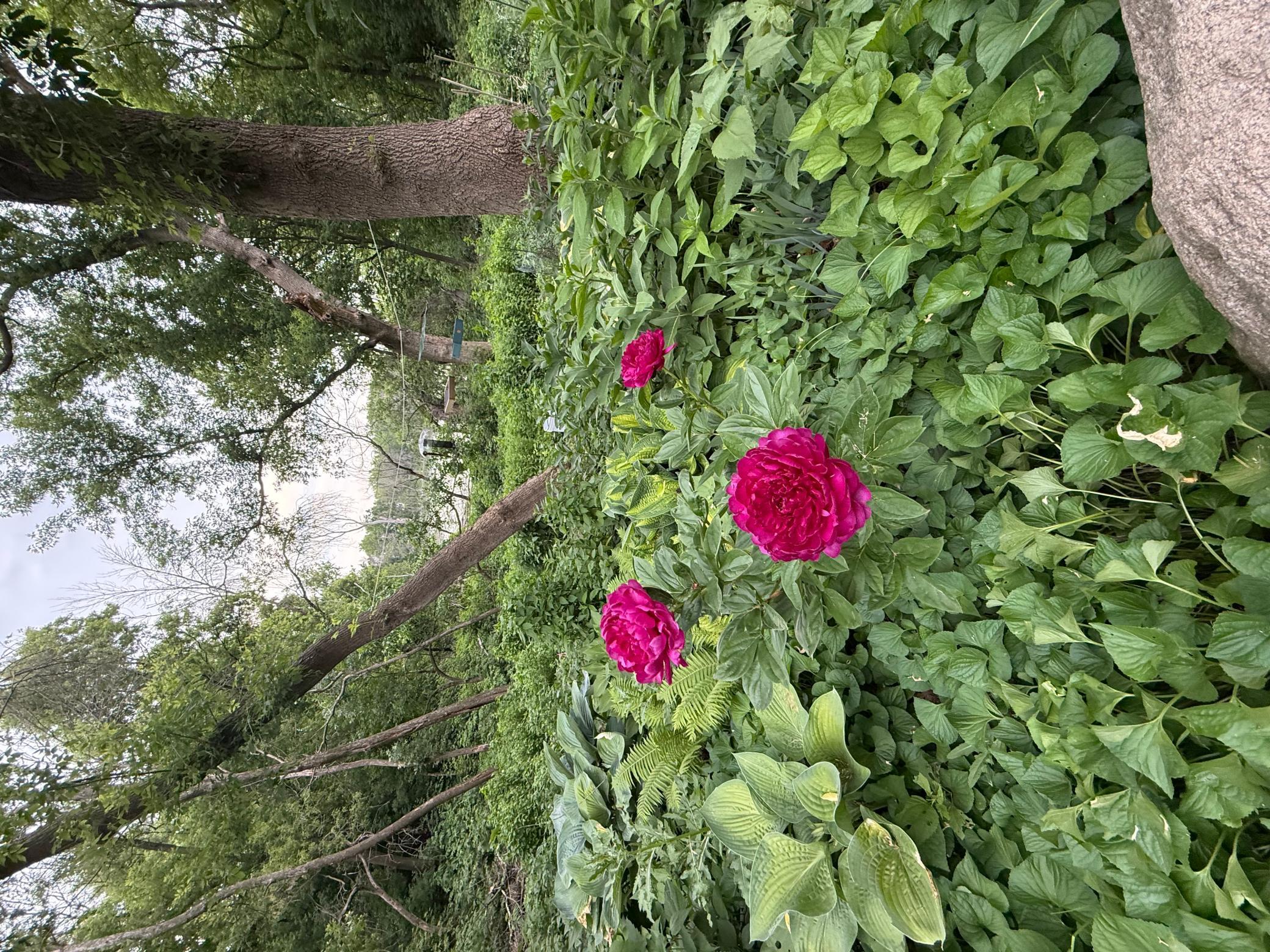 main property photo 61