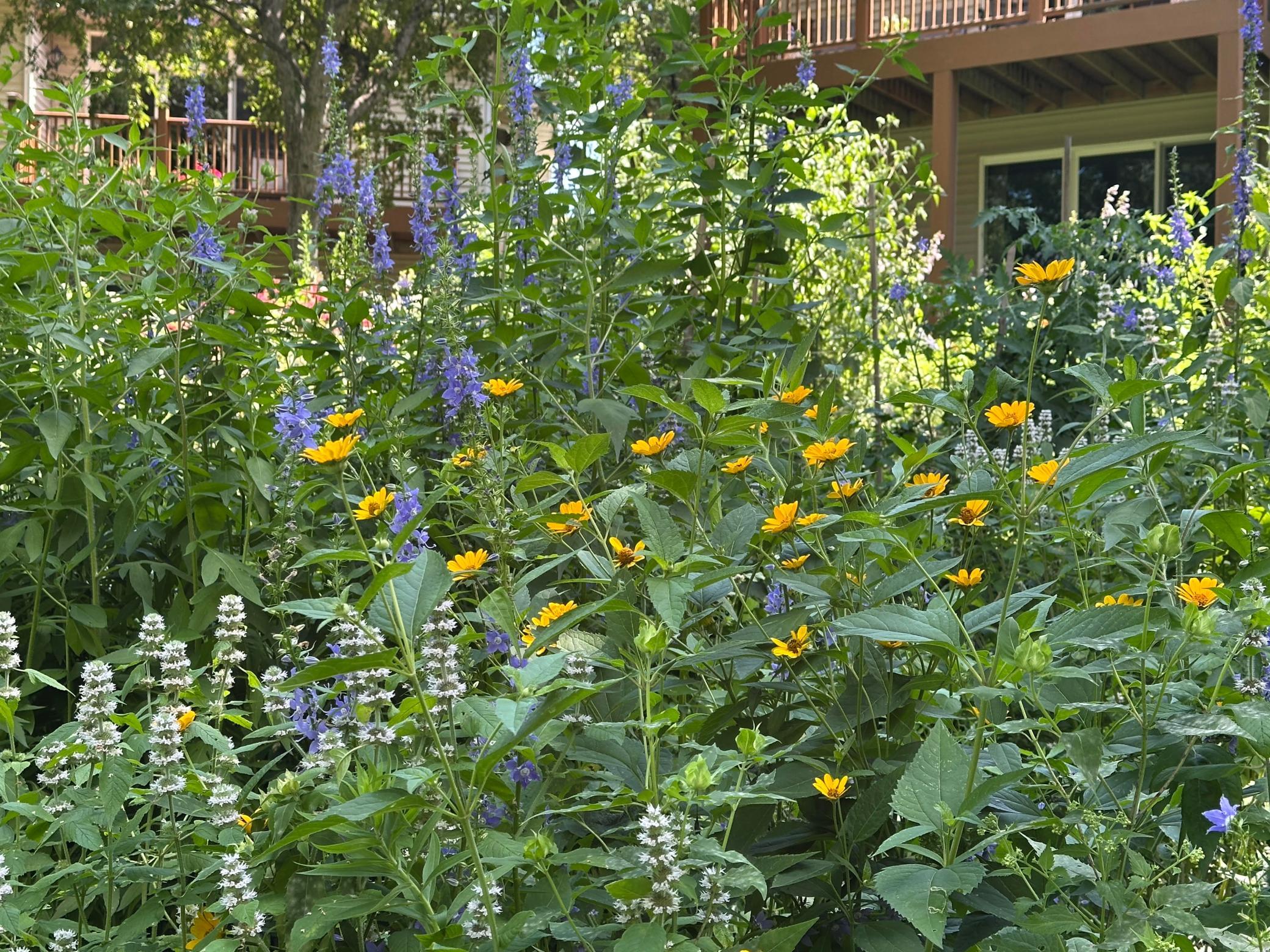 main property photo 68