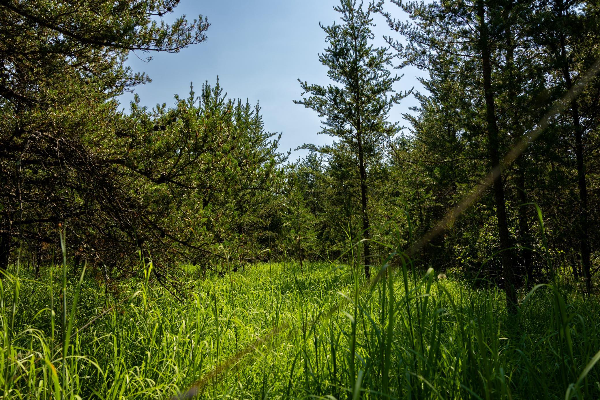main property photo 48