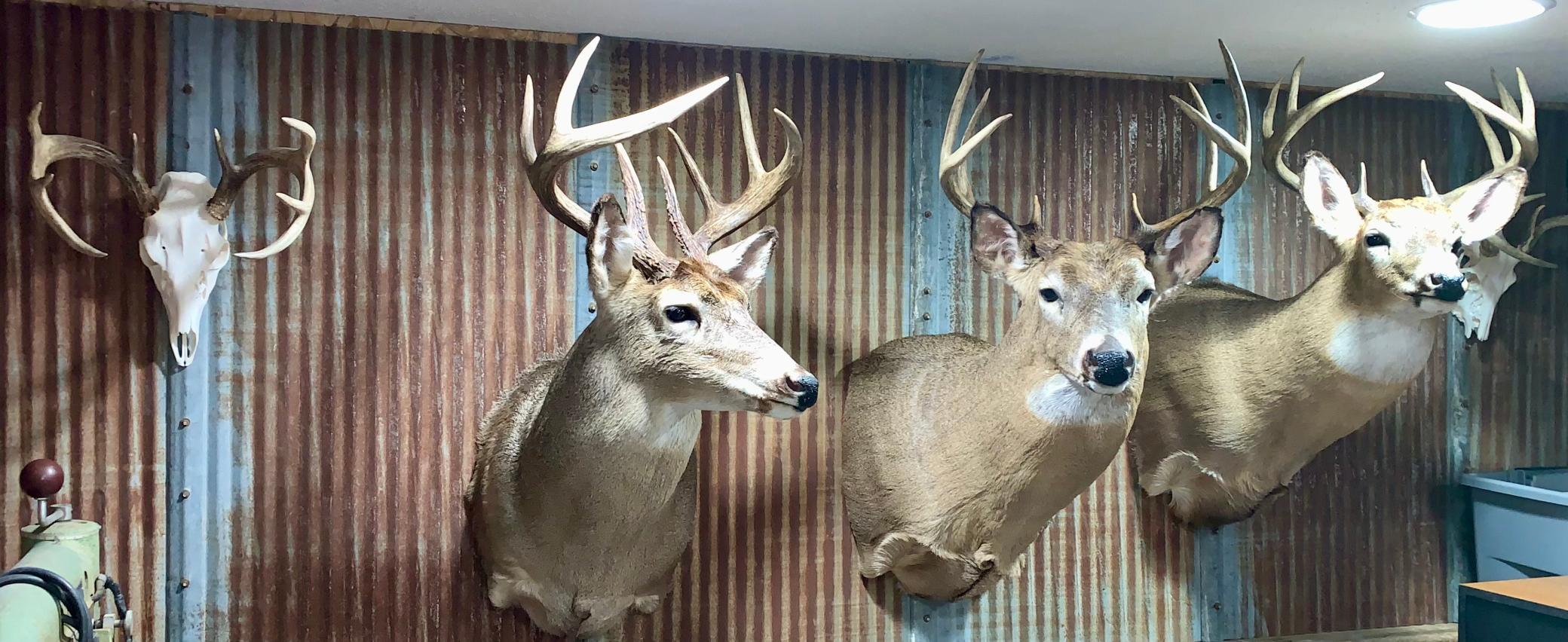 main property photo 55