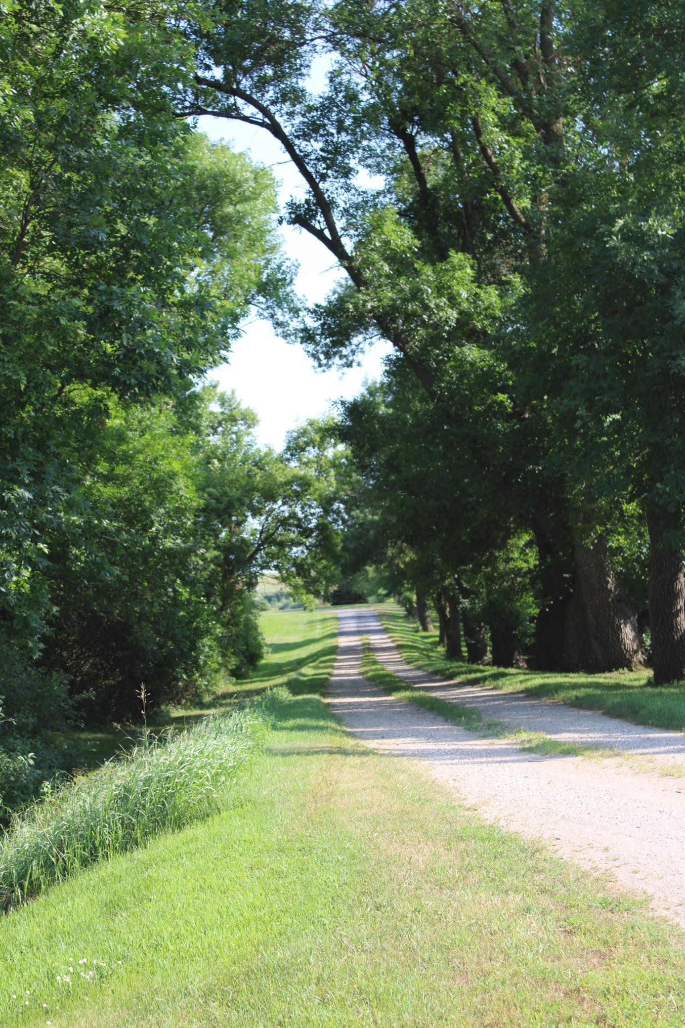 main property photo 74