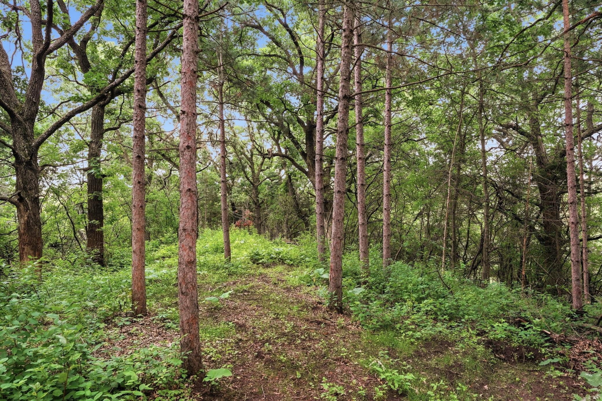 main property photo 55