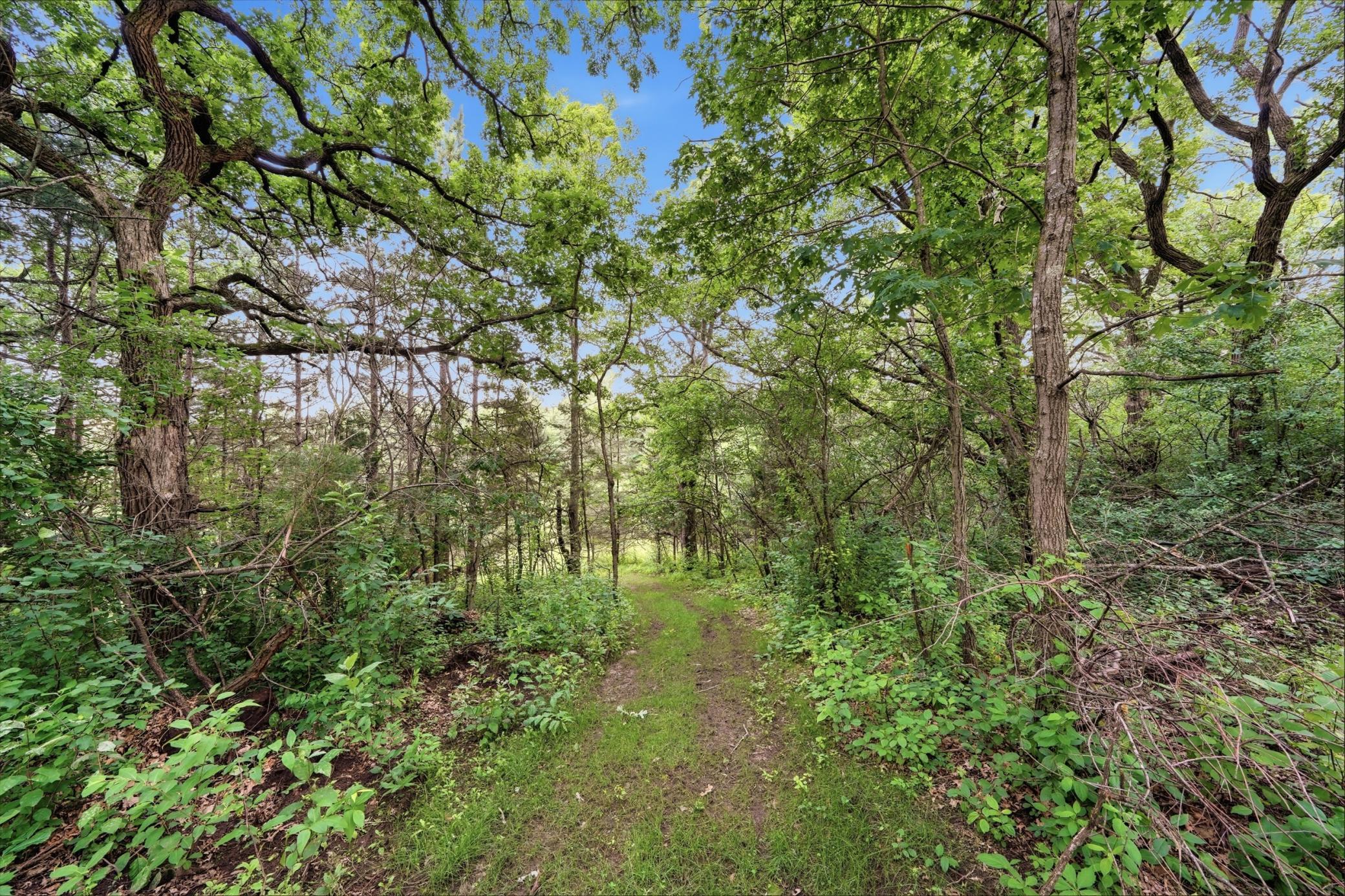 main property photo 56