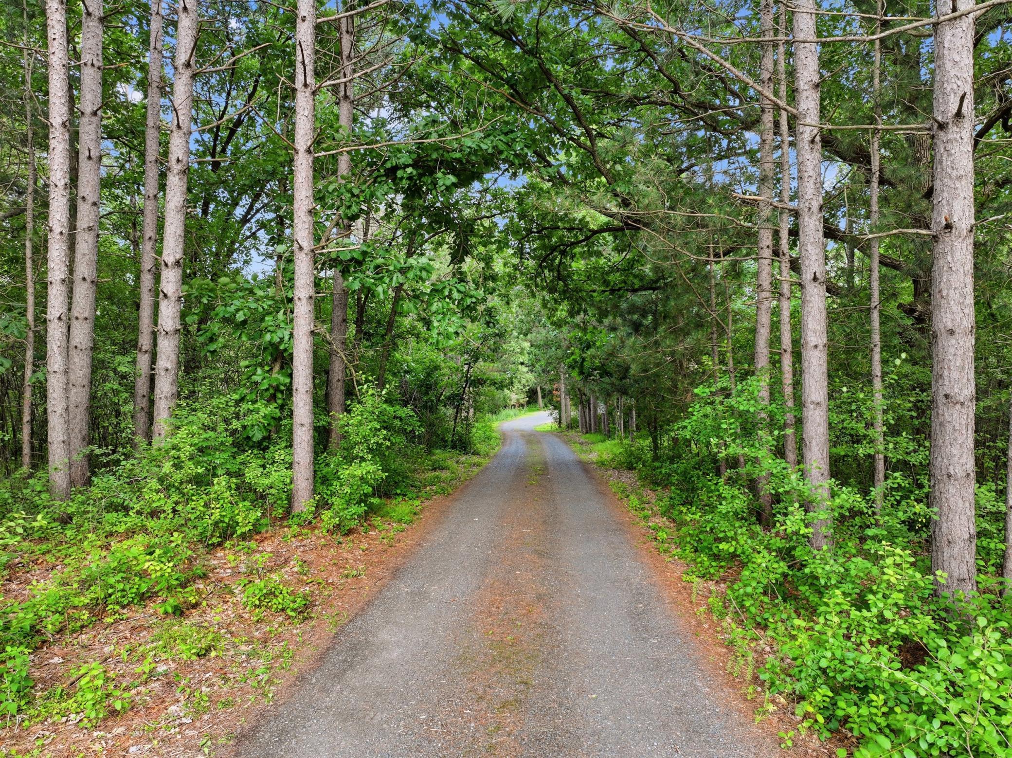 main property photo 59