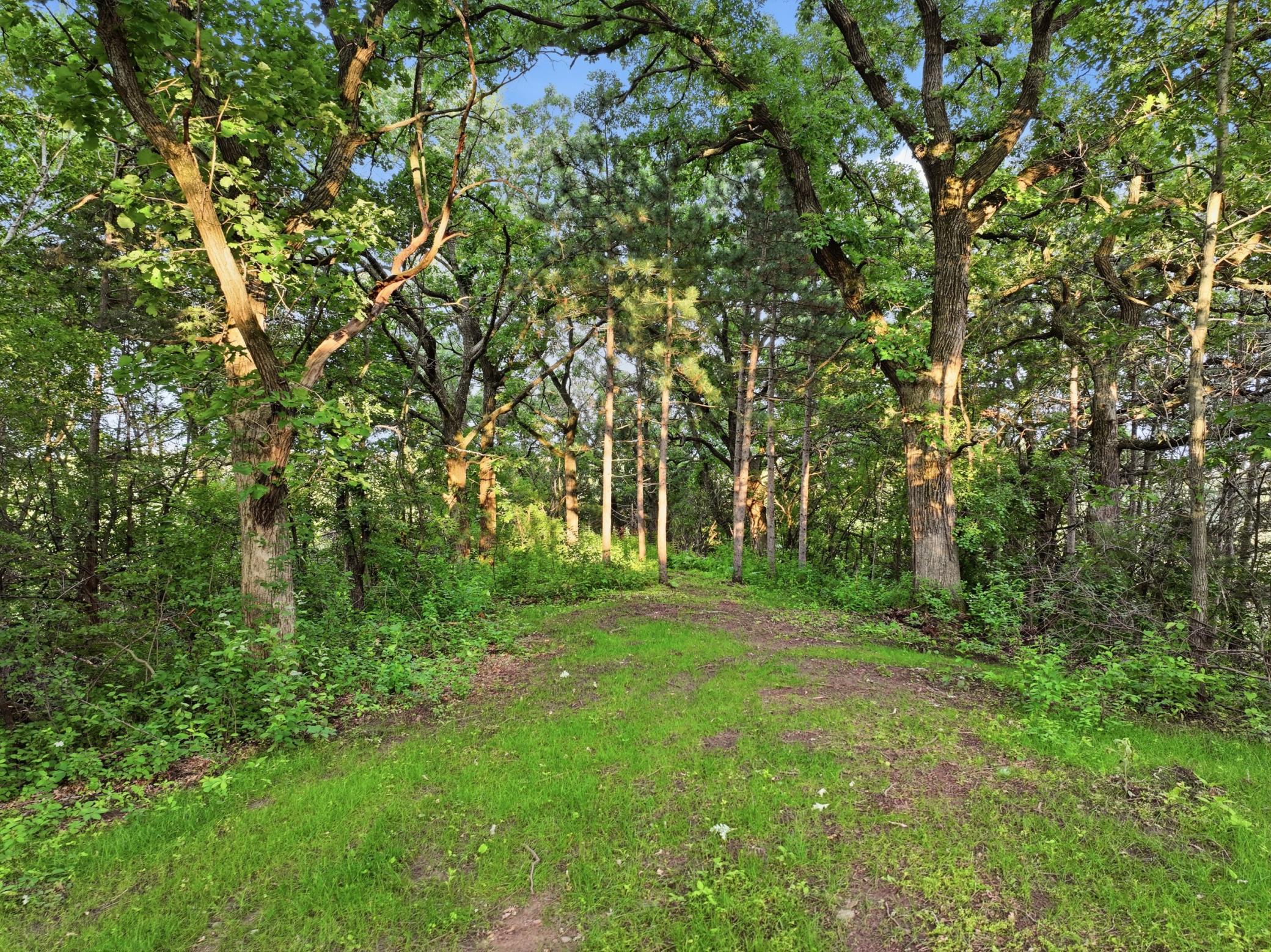 main property photo 68
