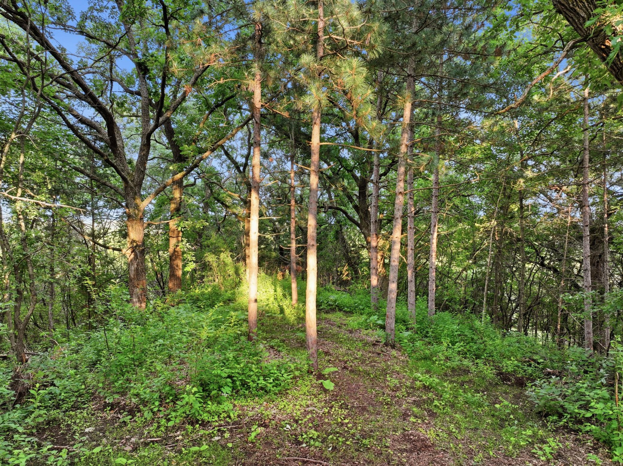 main property photo 69