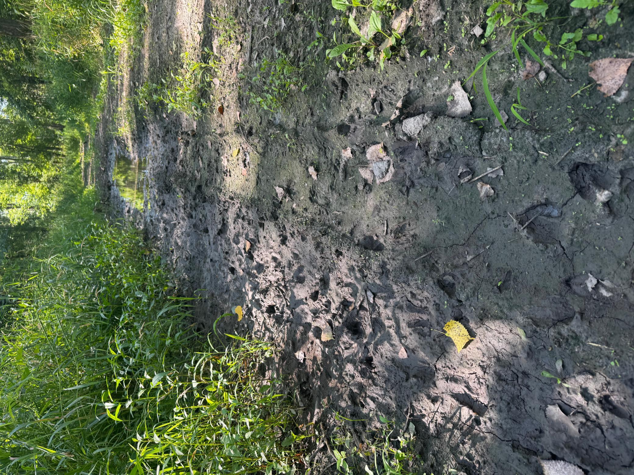 main property photo 20