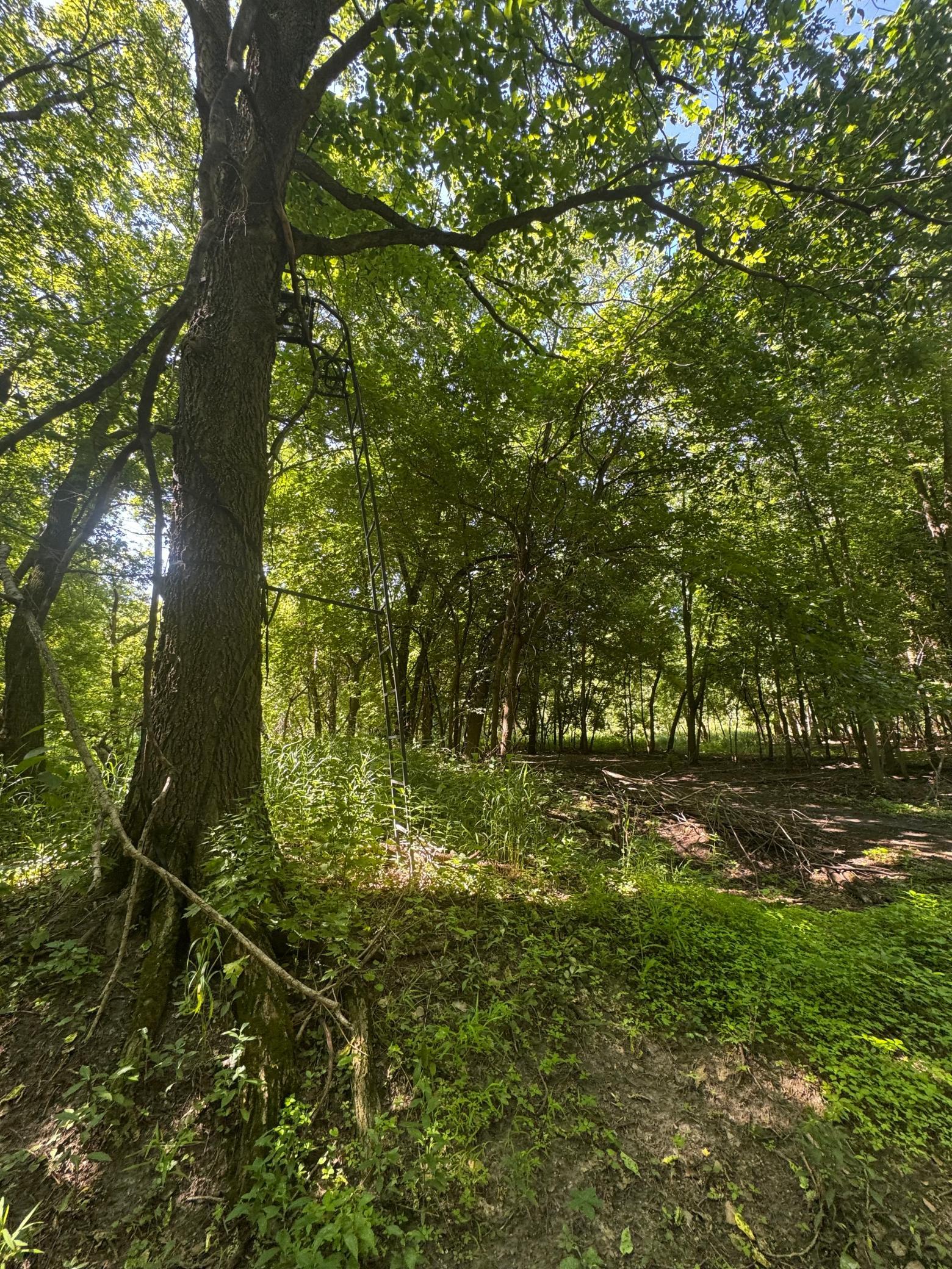 main property photo 26