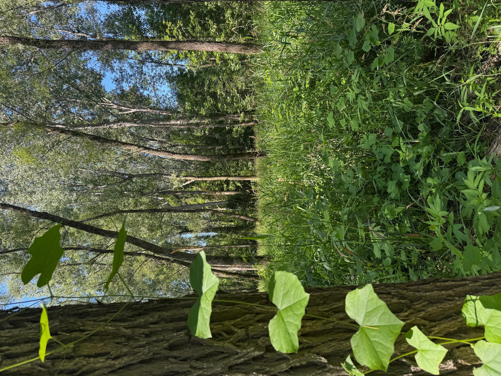 main property photo 30