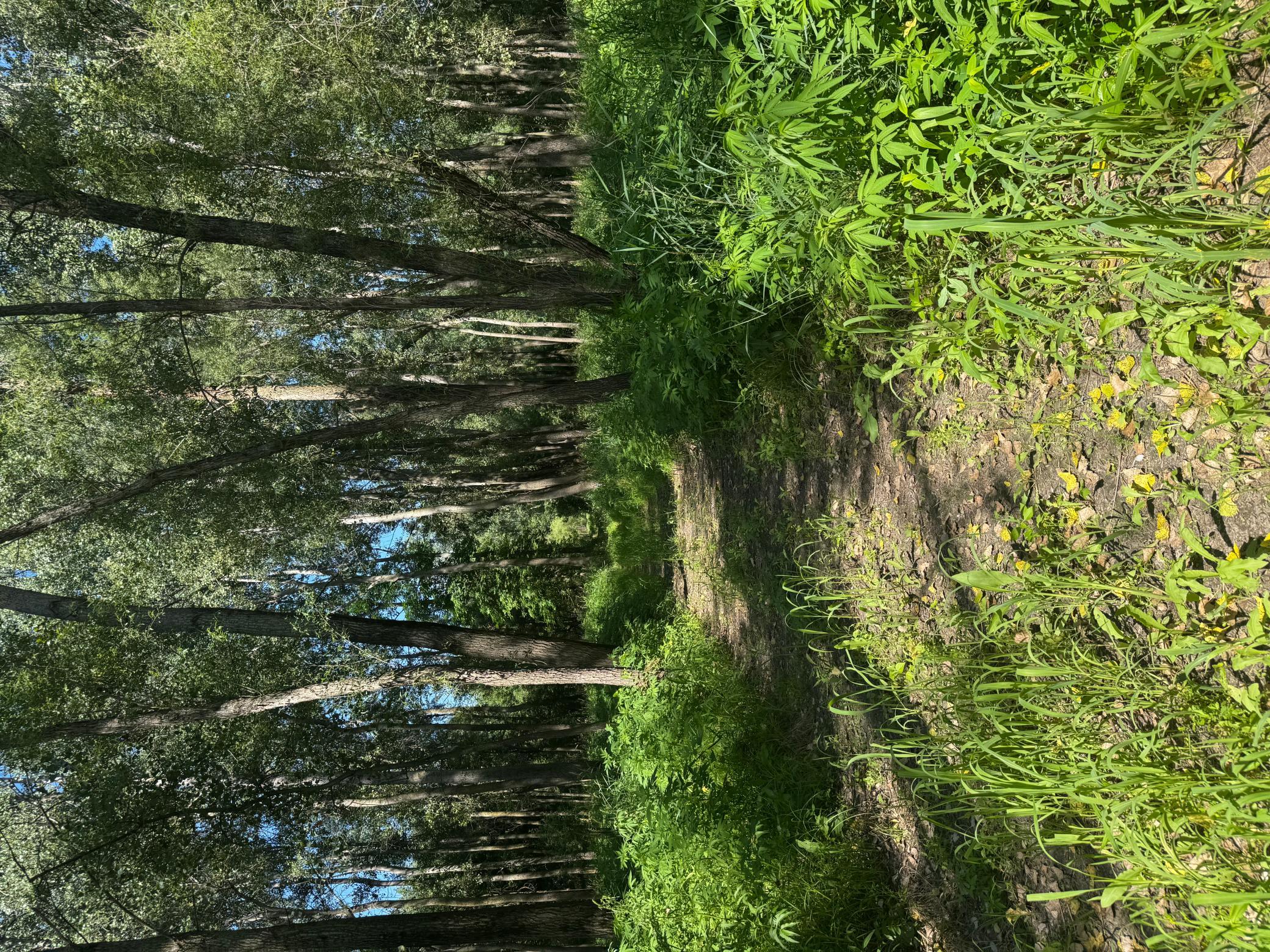 main property photo 36