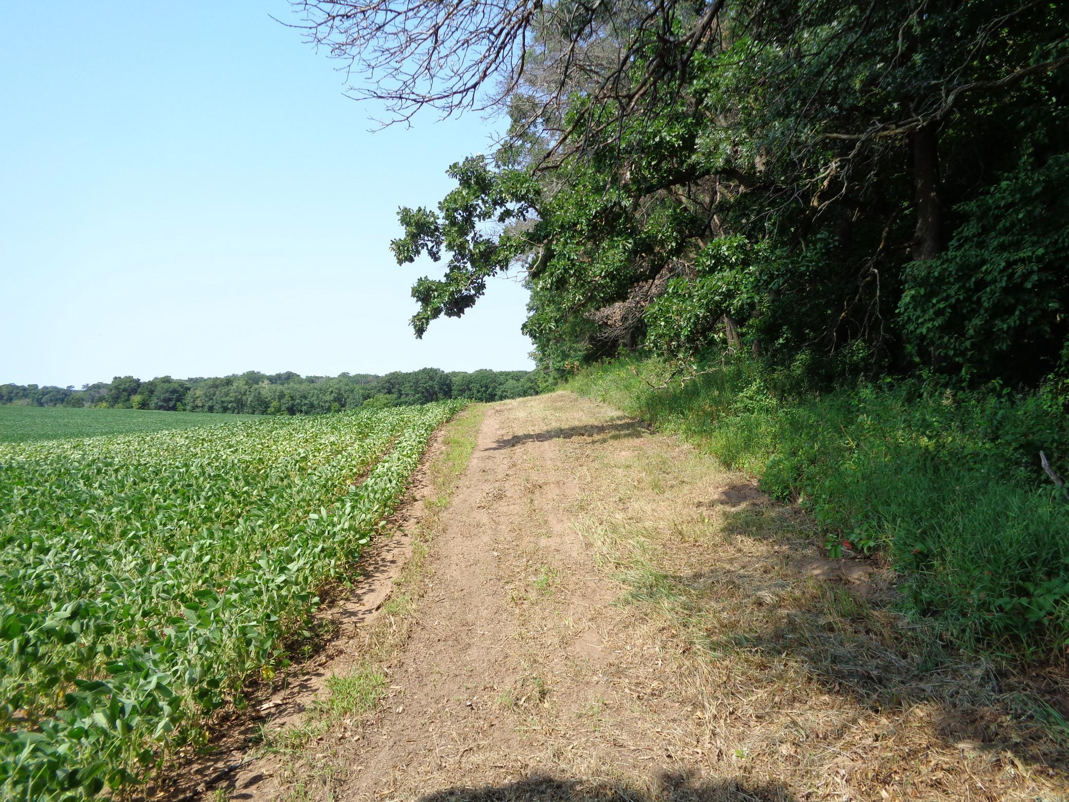 main property photo 19