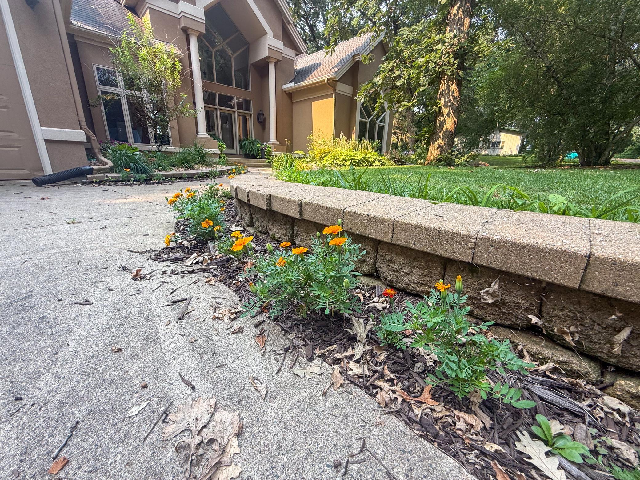 main property photo 66