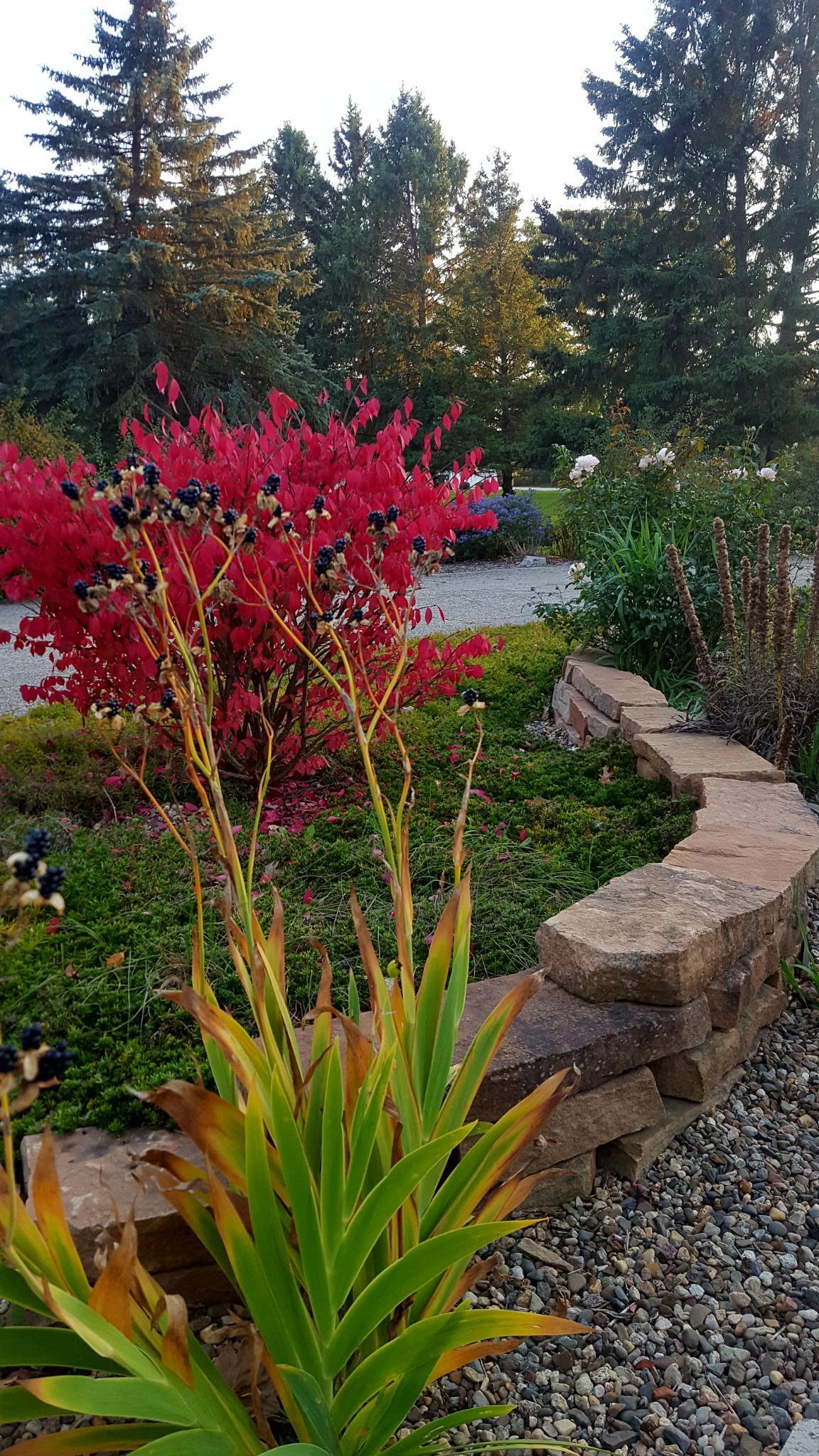 main property photo 84
