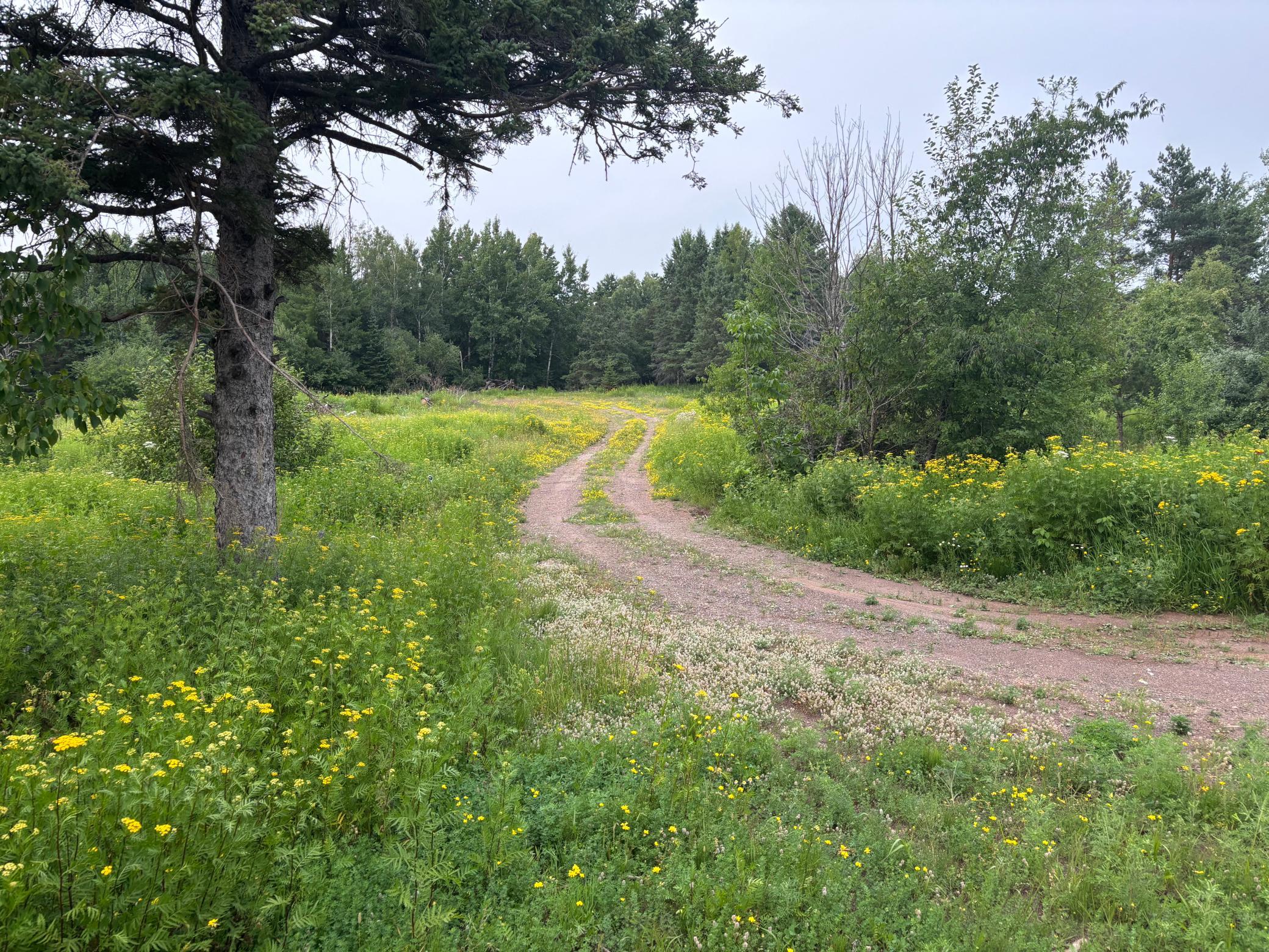 main property photo 25