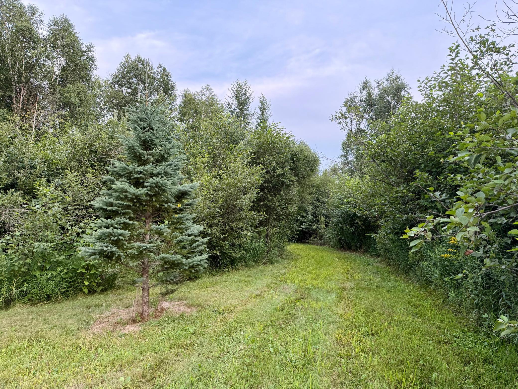 main property photo 59