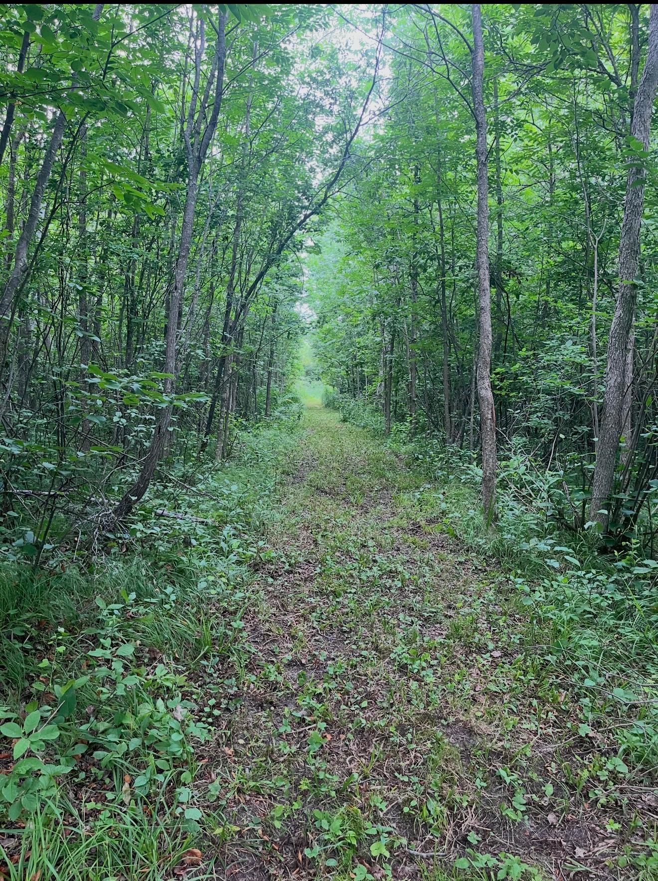 main property photo 63