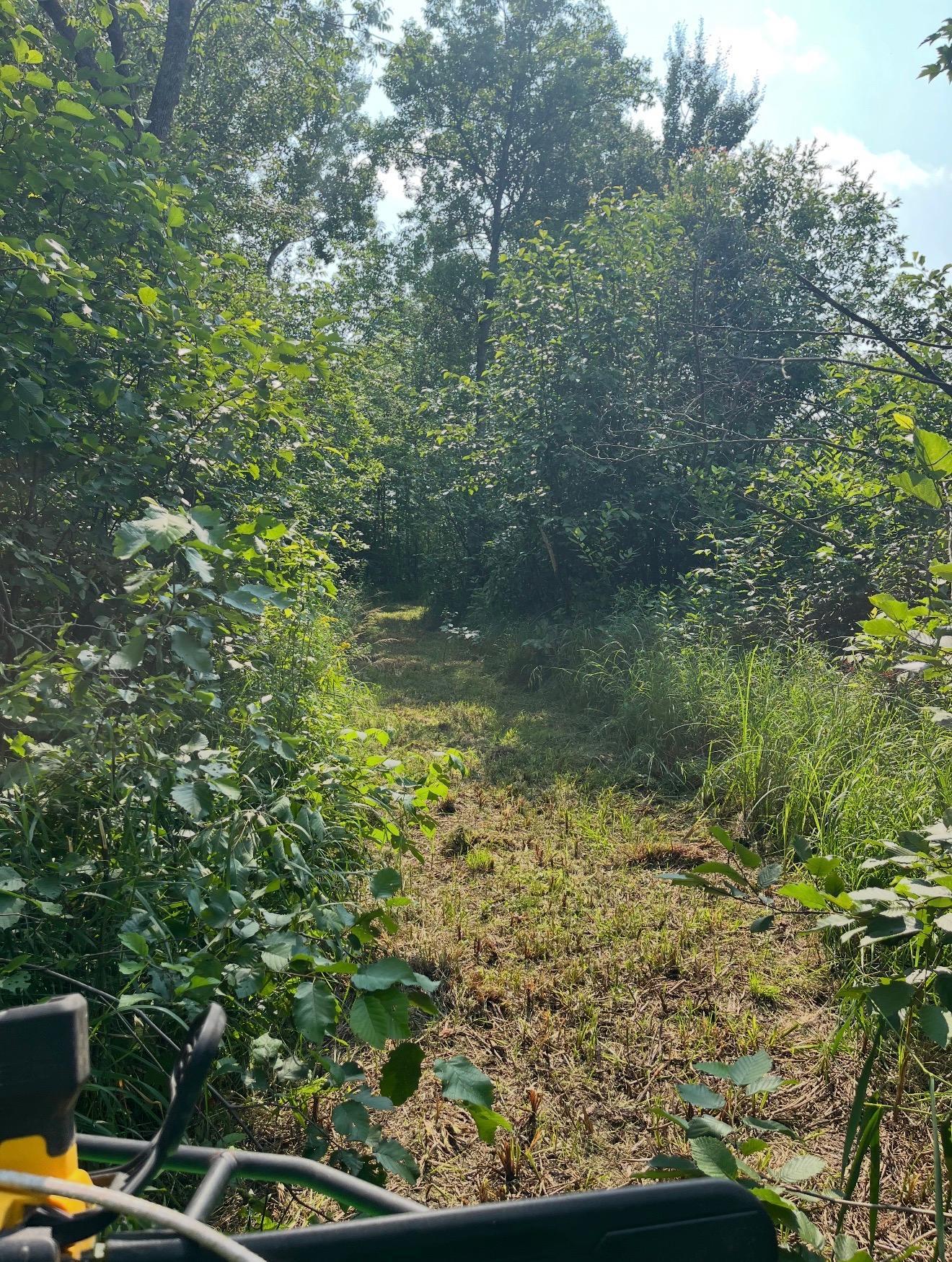 main property photo 64