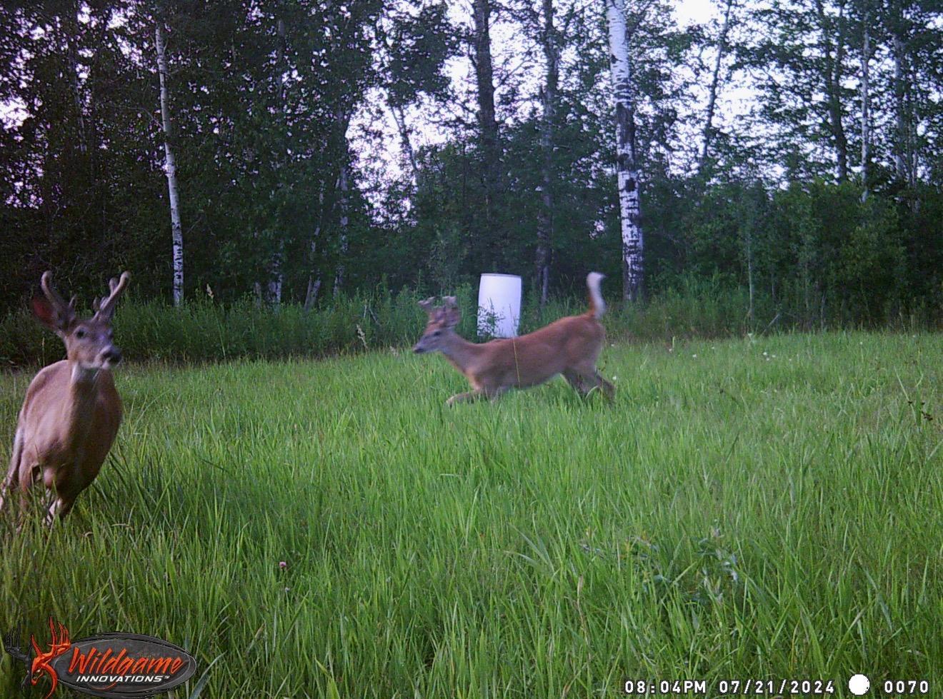 main property photo 67