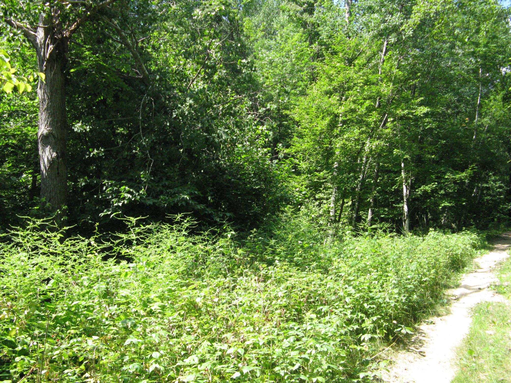 main property photo 11