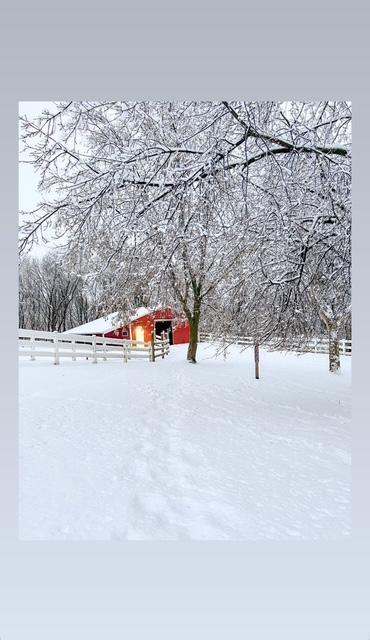 main property photo 72
