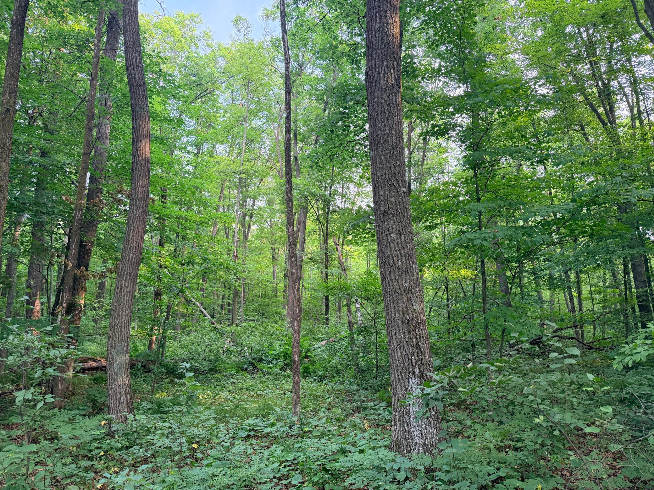 main property photo 26