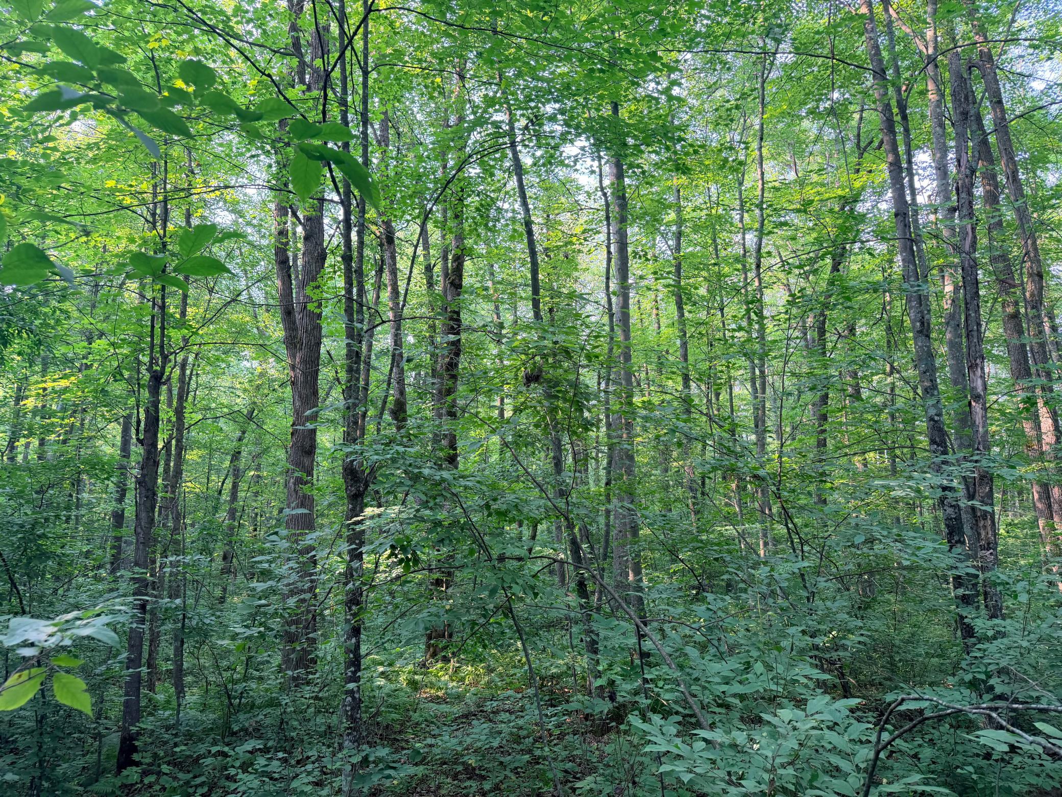 main property photo 48