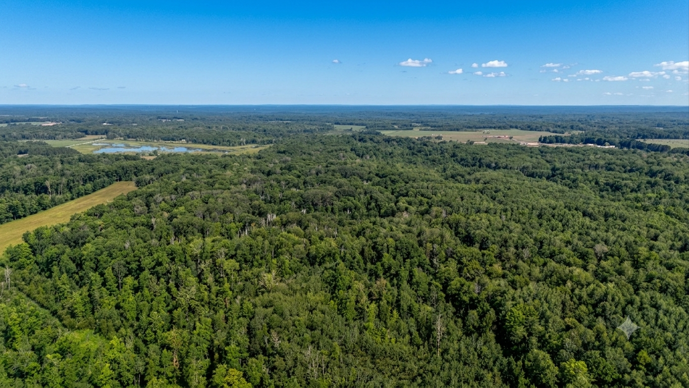main property photo 50