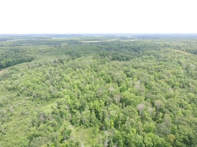 main property photo 61