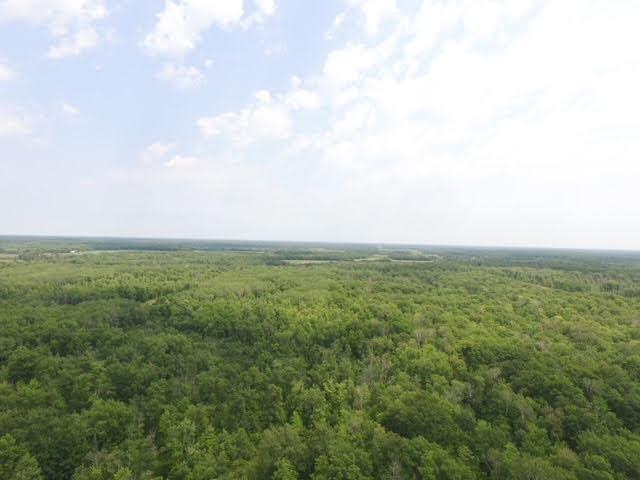 main property photo 66