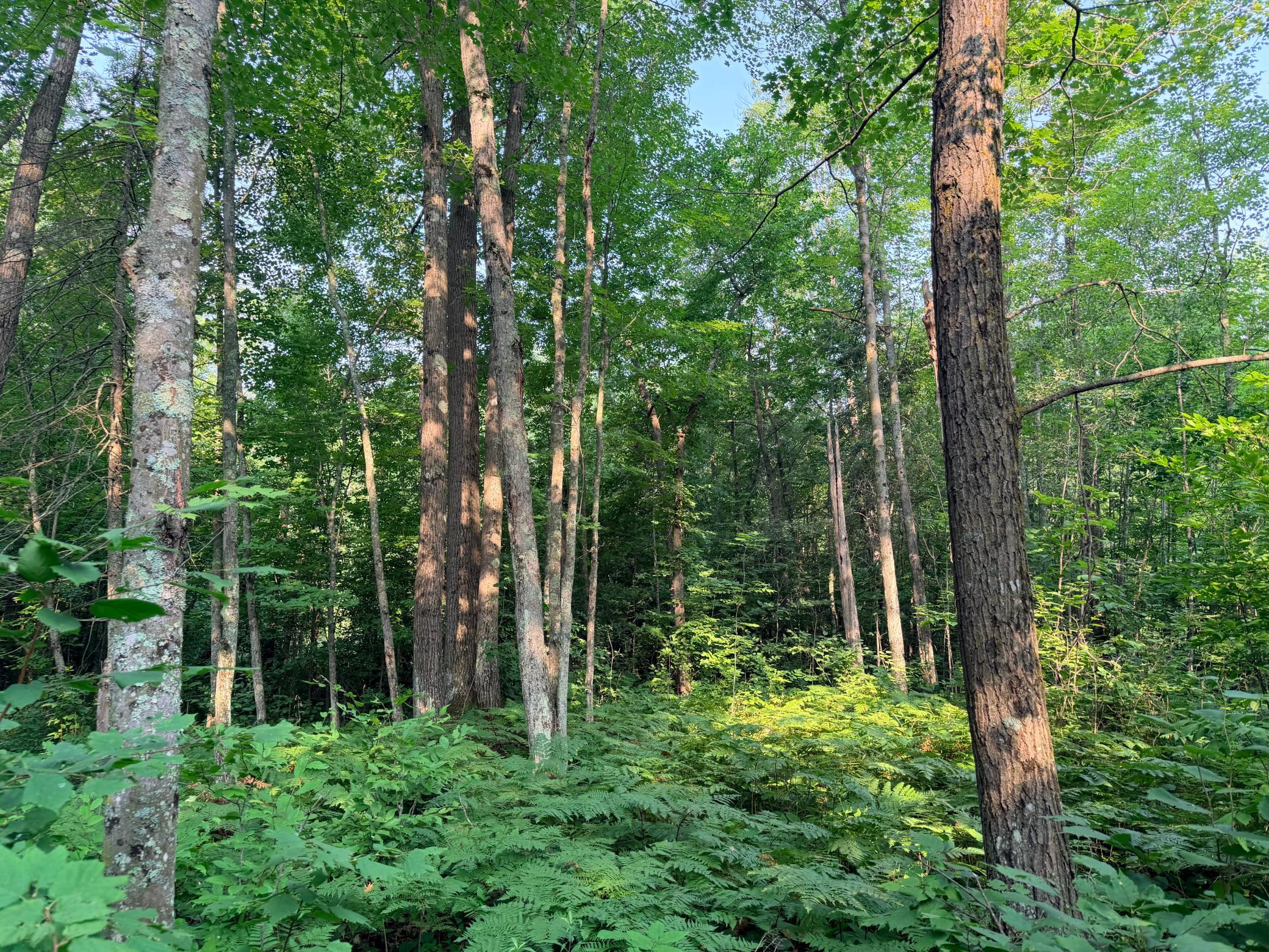 main property photo 8