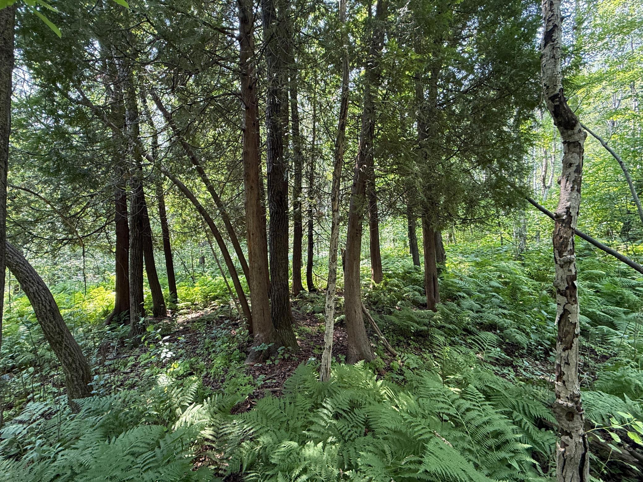 main property photo 19