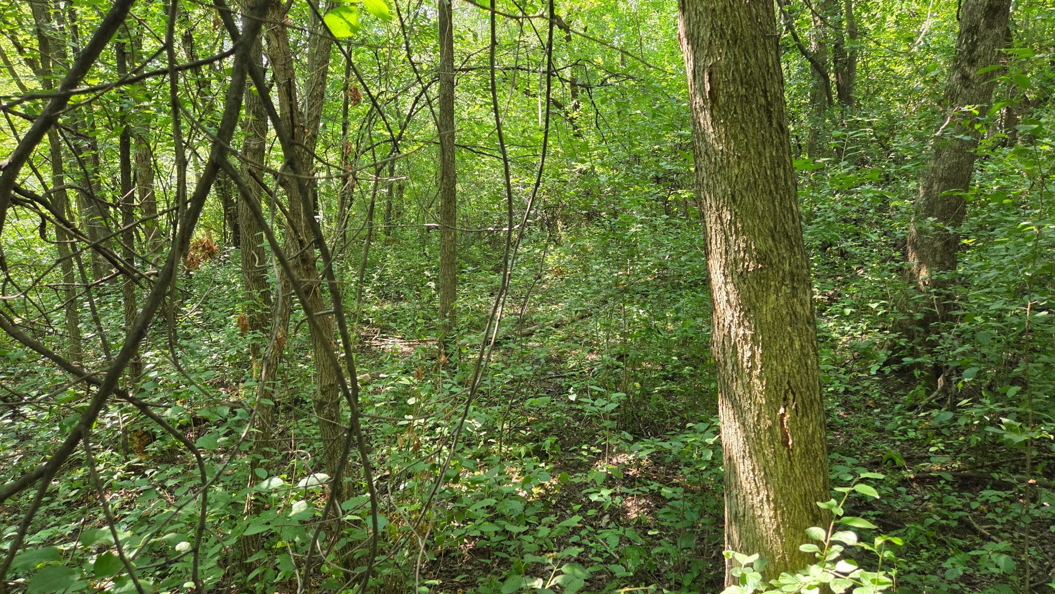 main property photo 37