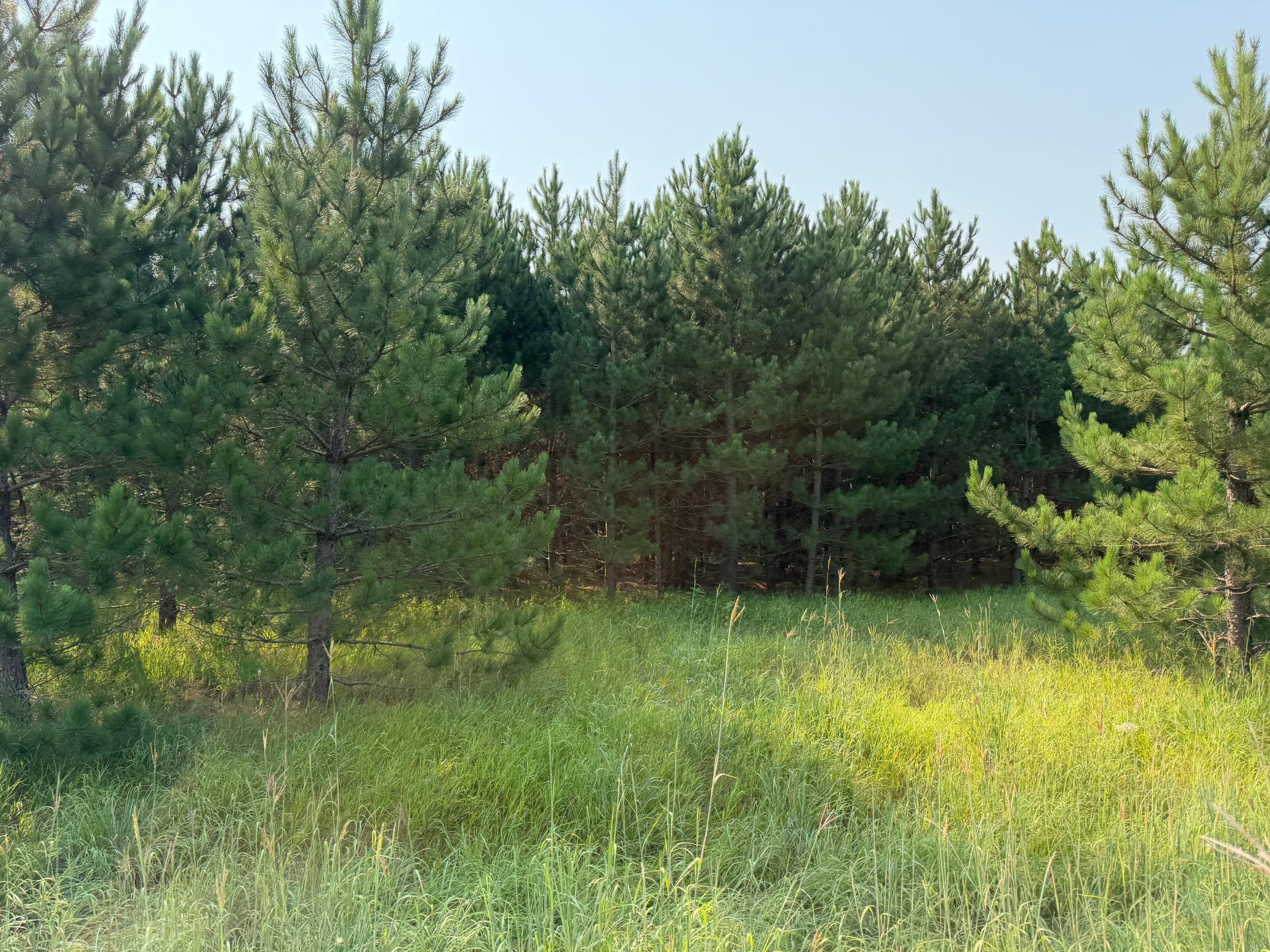 main property photo 29