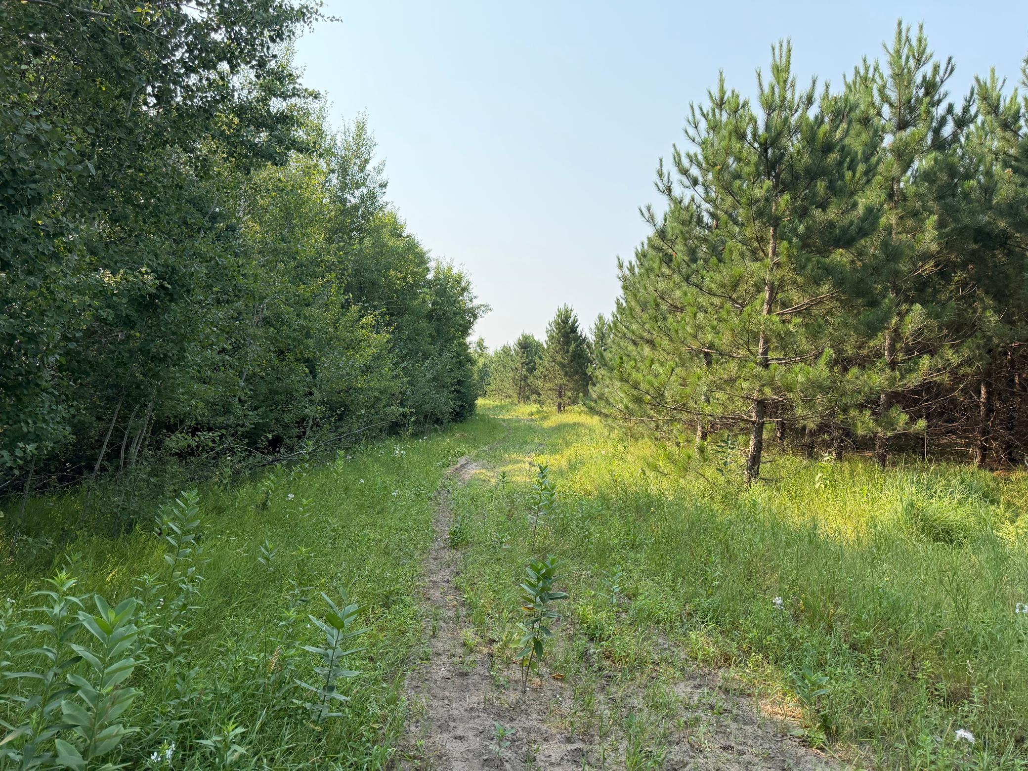 main property photo 45