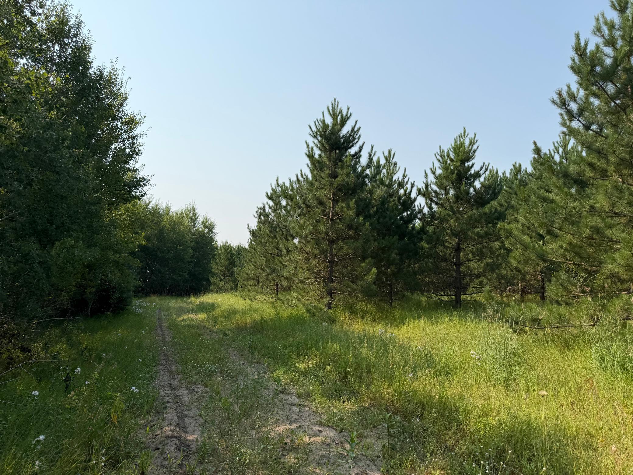 main property photo 46