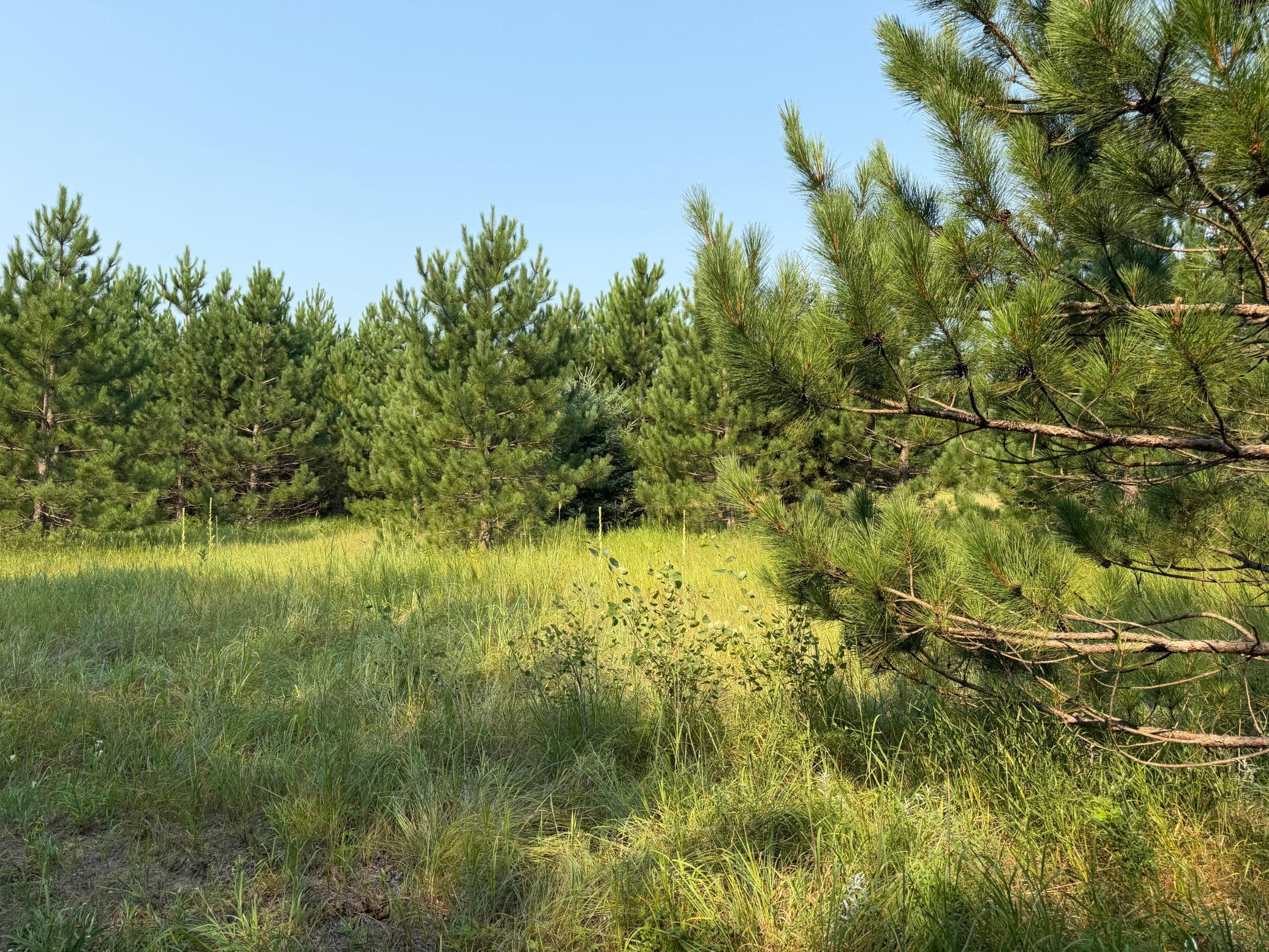 main property photo 48