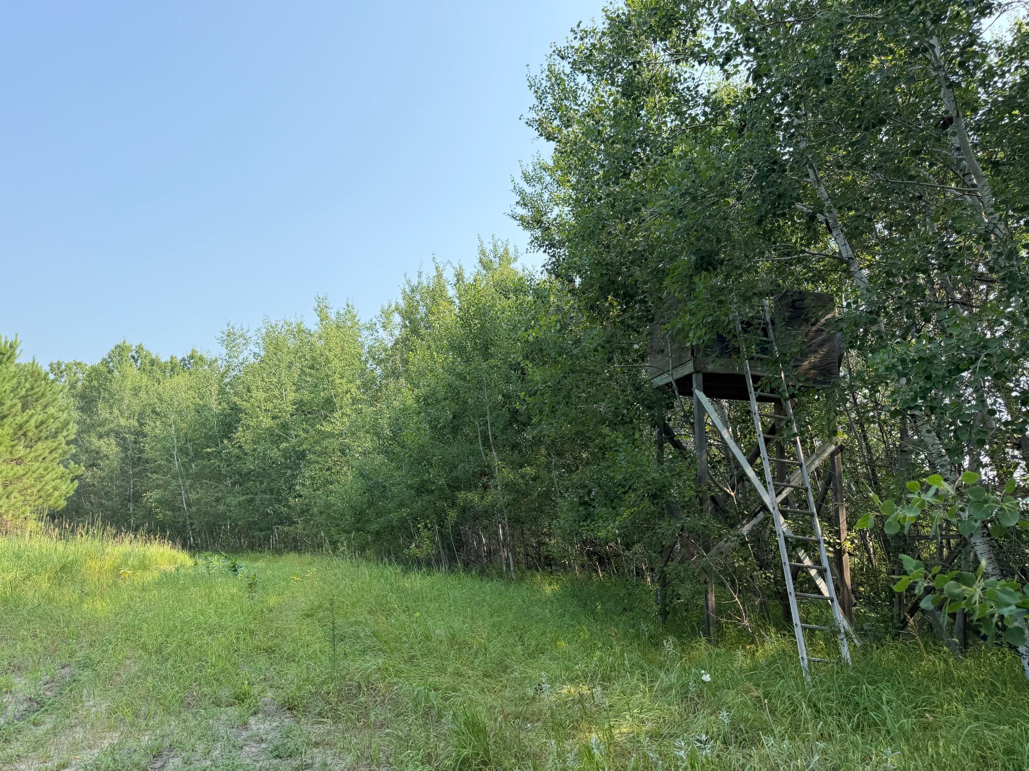 main property photo 50