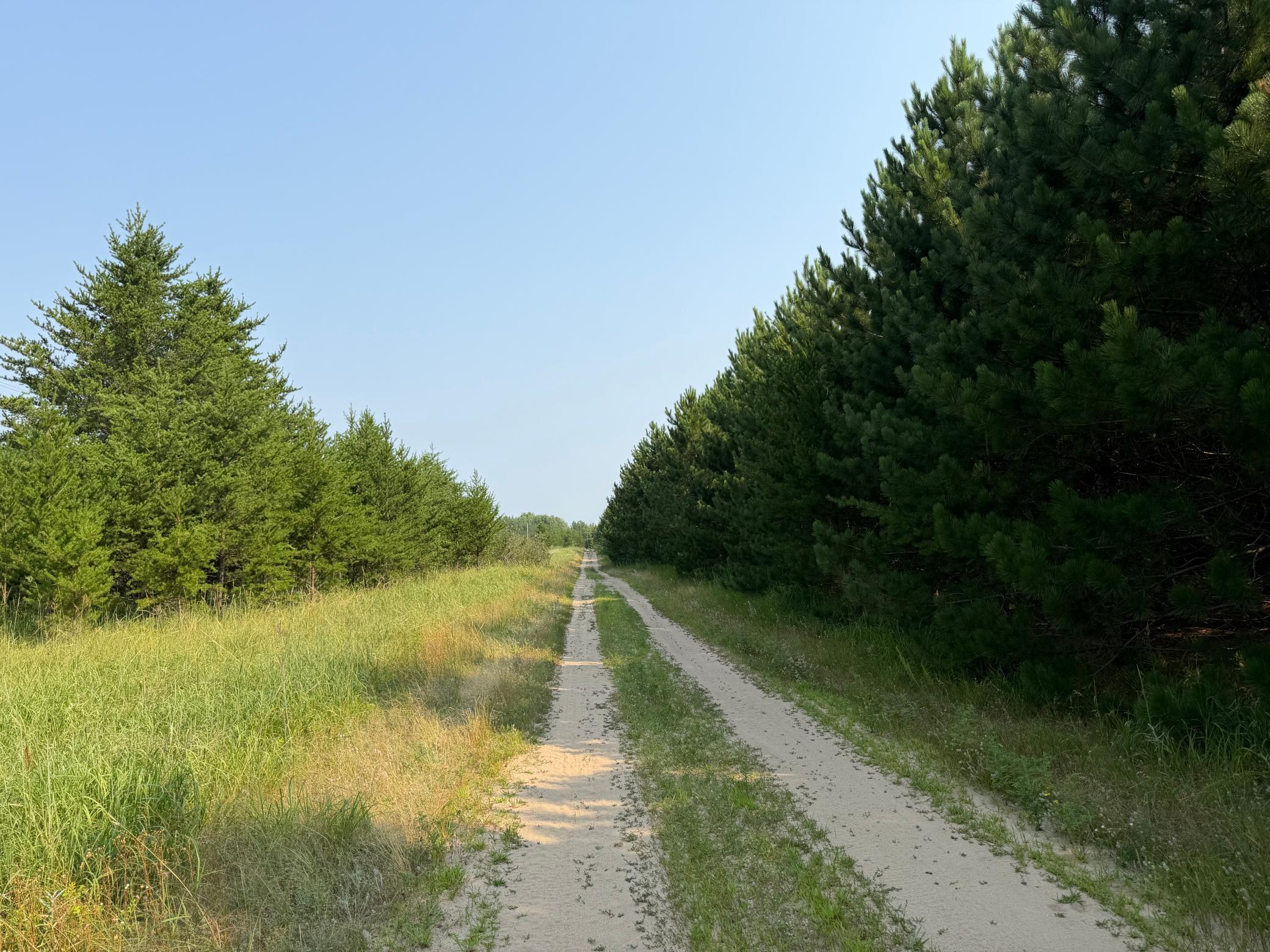 main property photo 55