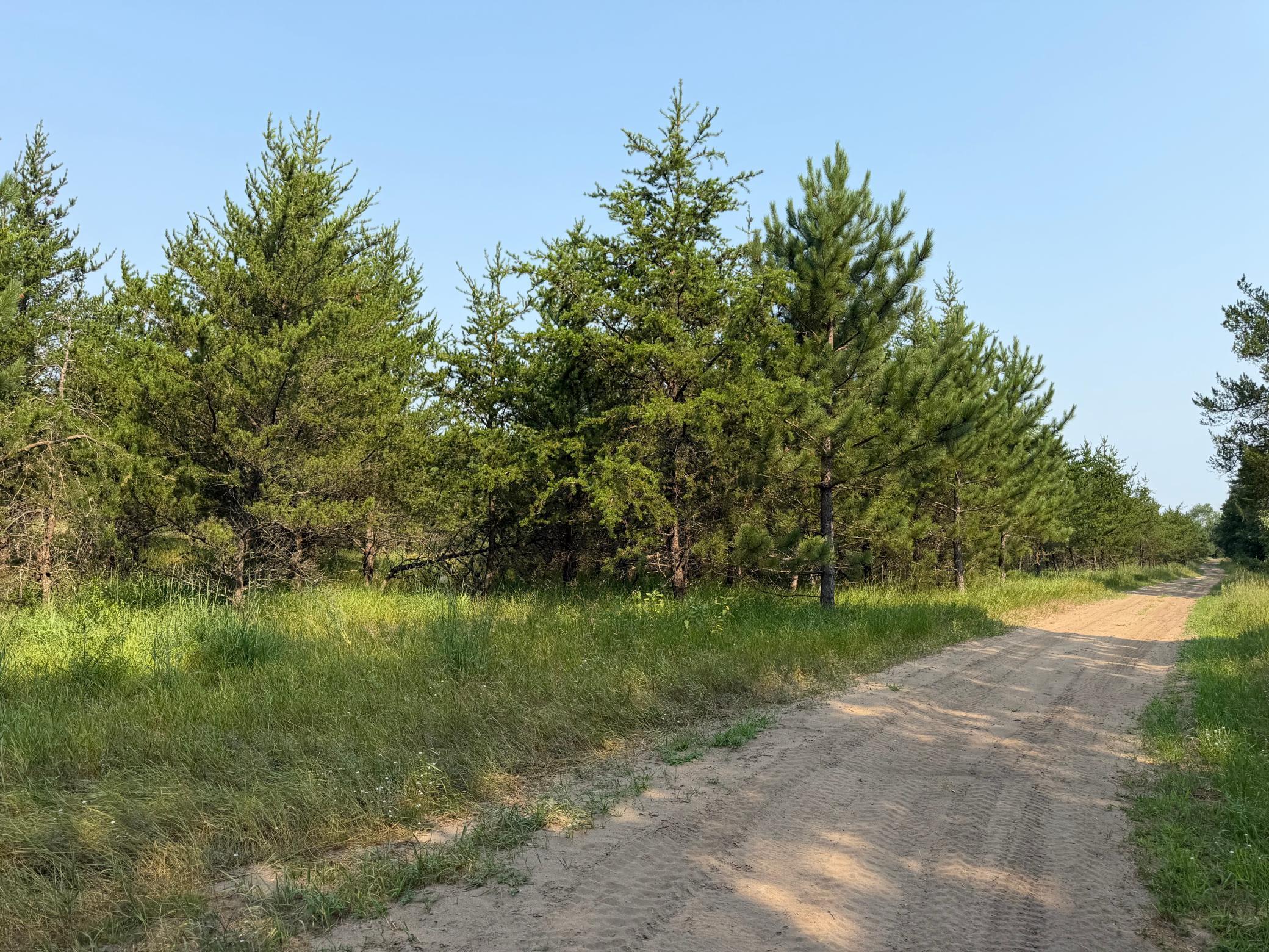main property photo 57