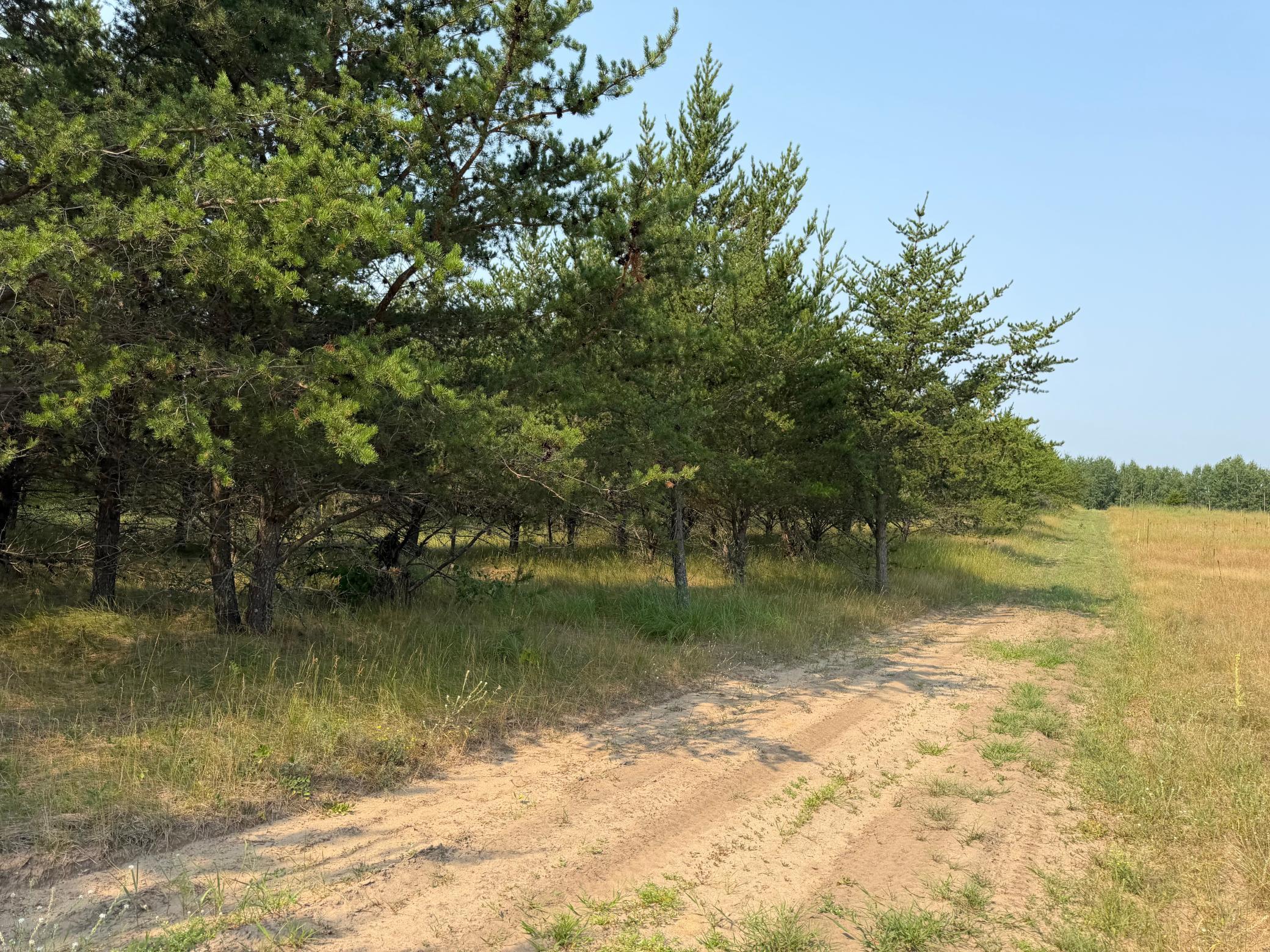 main property photo 60