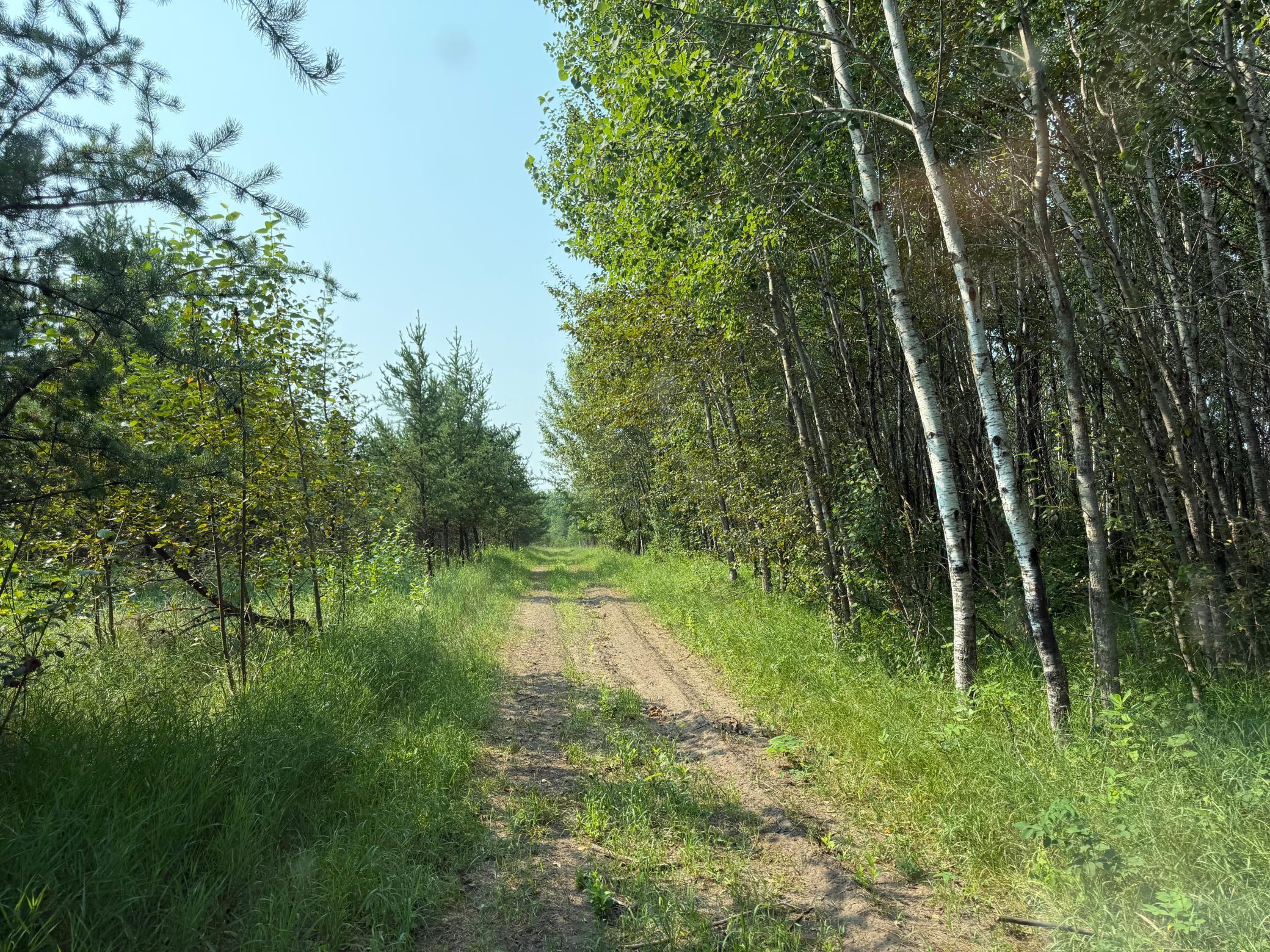 main property photo 61