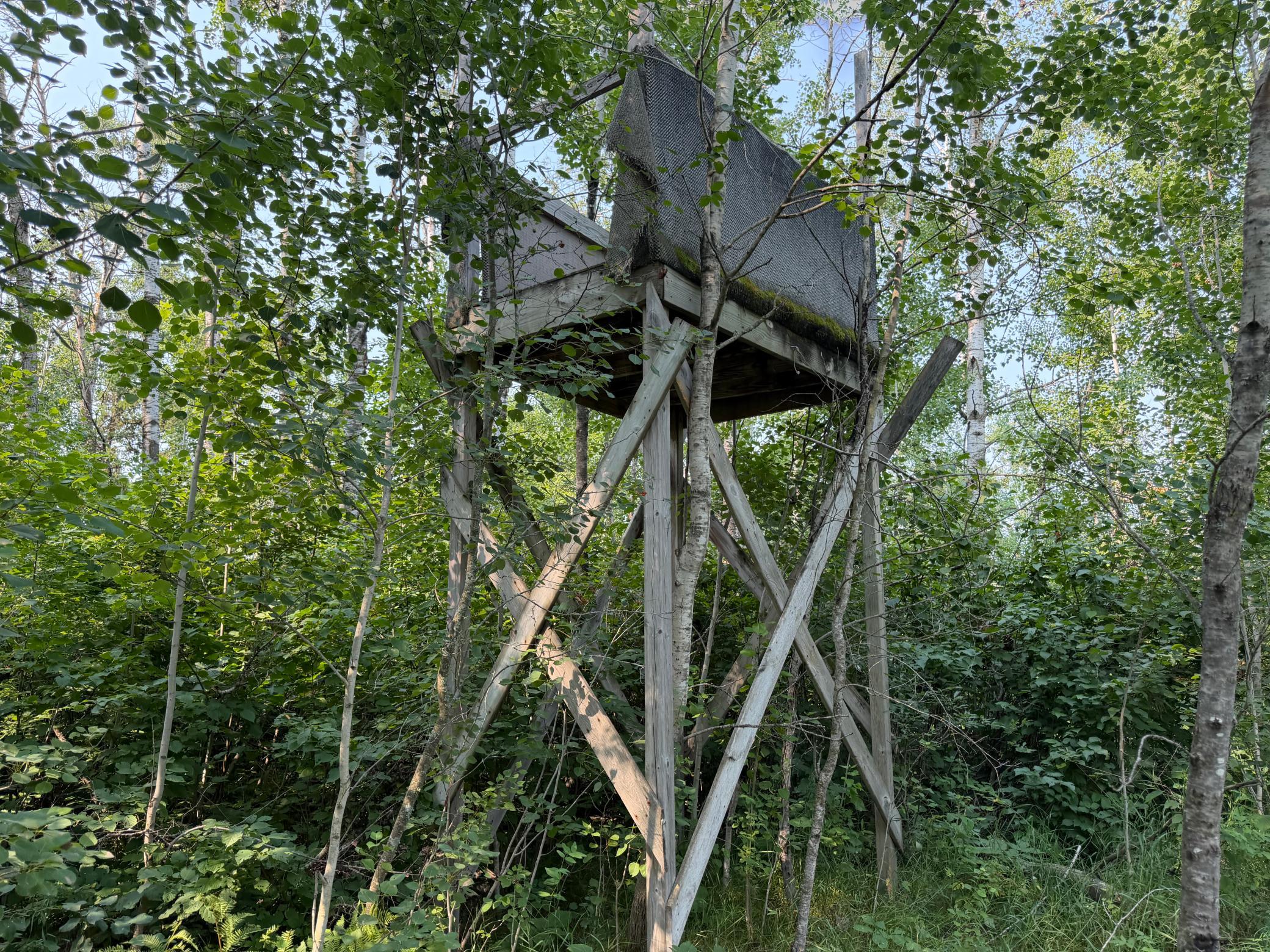 main property photo 63