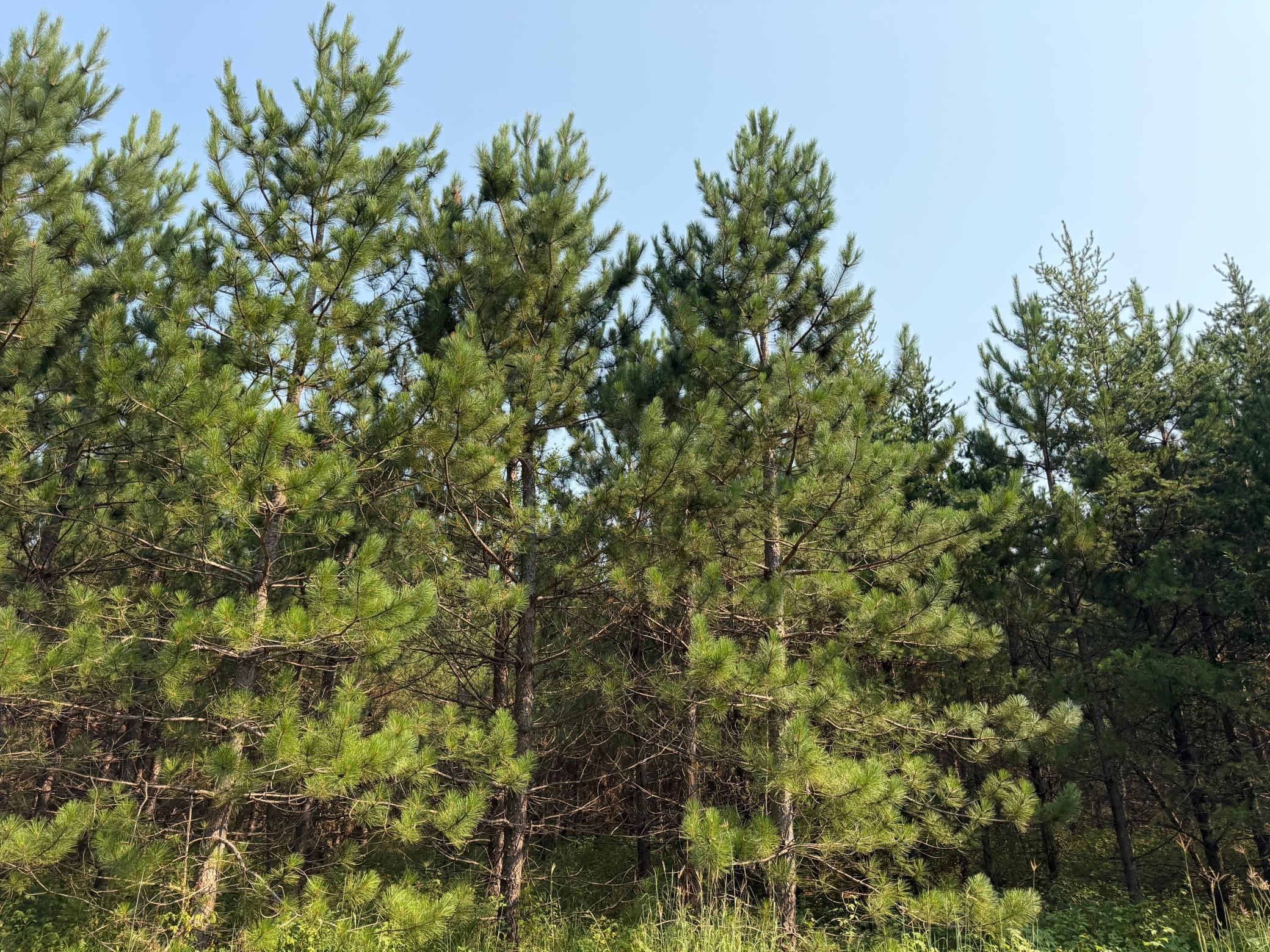 main property photo 64