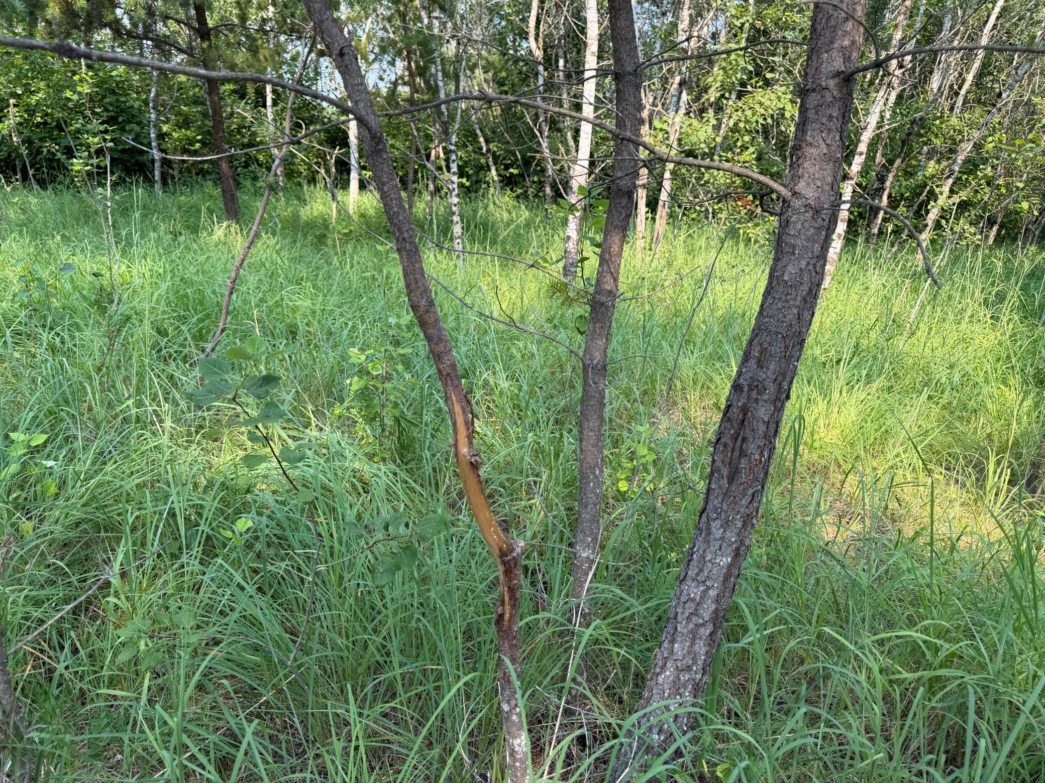 main property photo 65